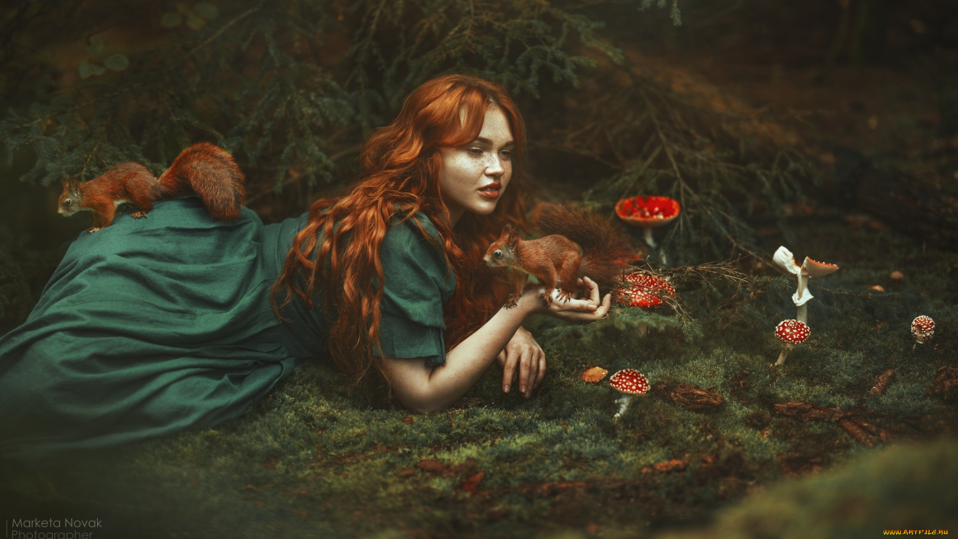 девушки, -, рыжеволосые, и, разноцветные, девушка