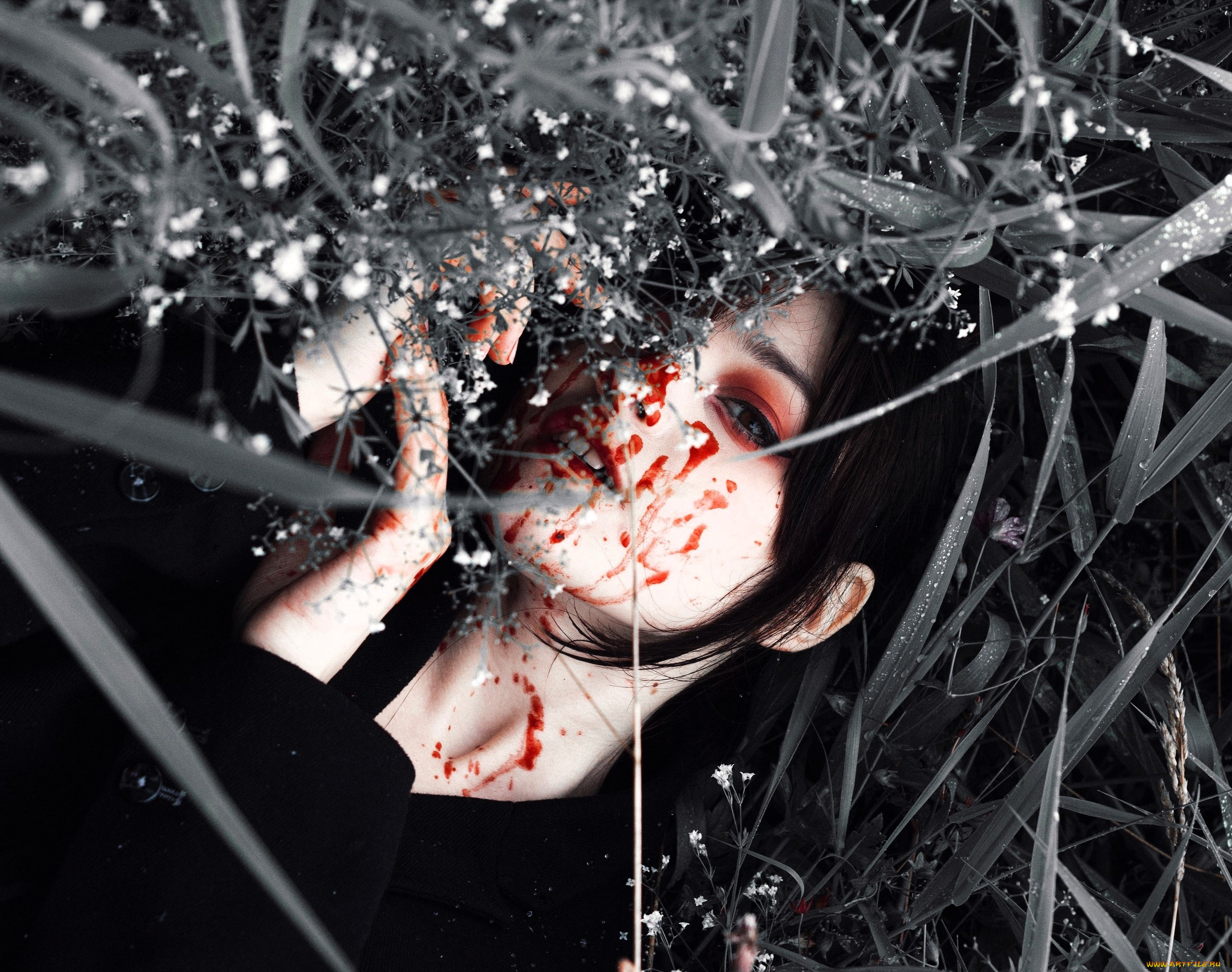девушки, tenletters, брюнетка, кровь, трава
