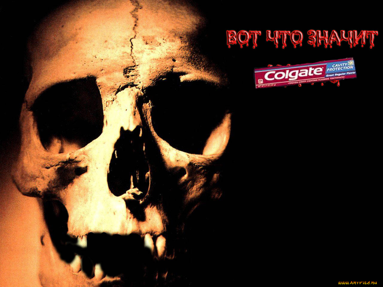 юмор, приколы