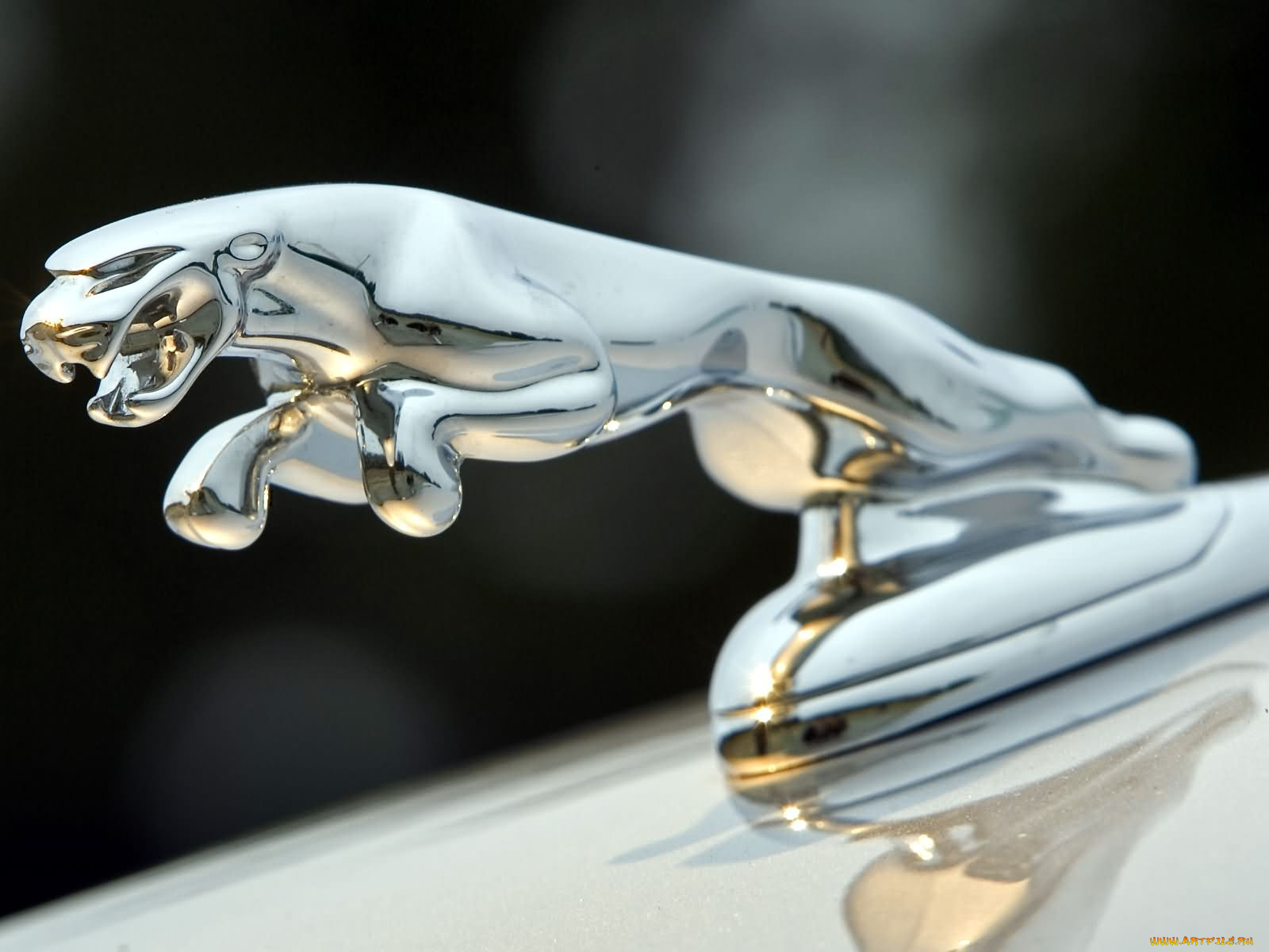 jaguar, xj, super, v8, бренды, авто, мото