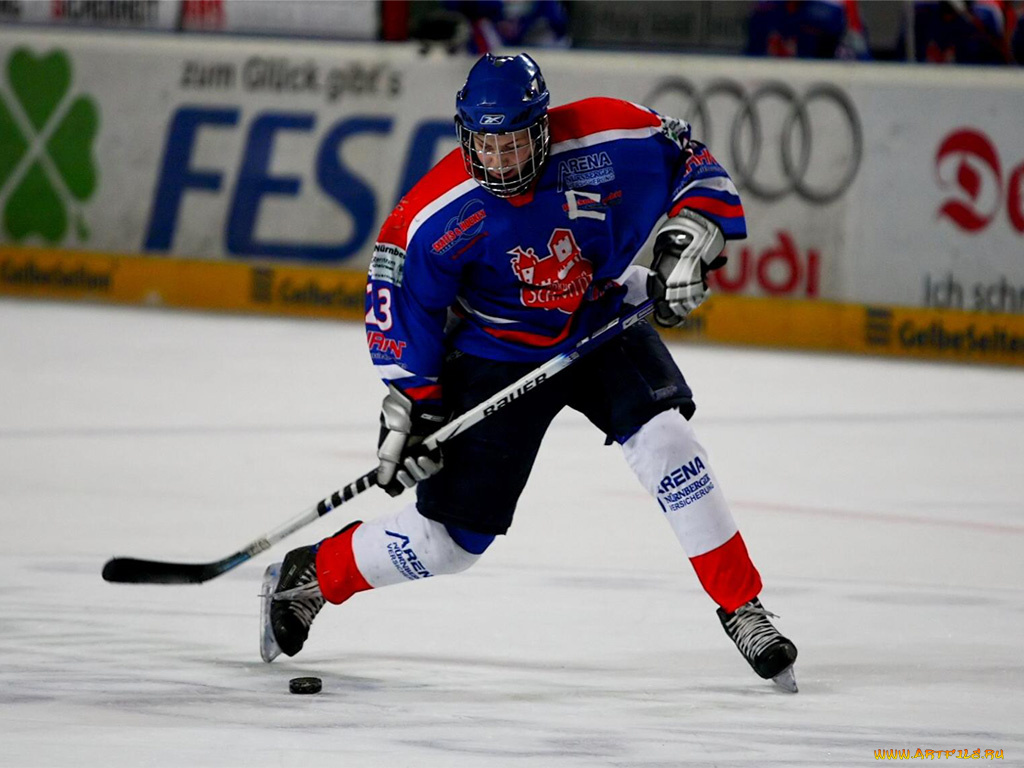 спорт, хоккей