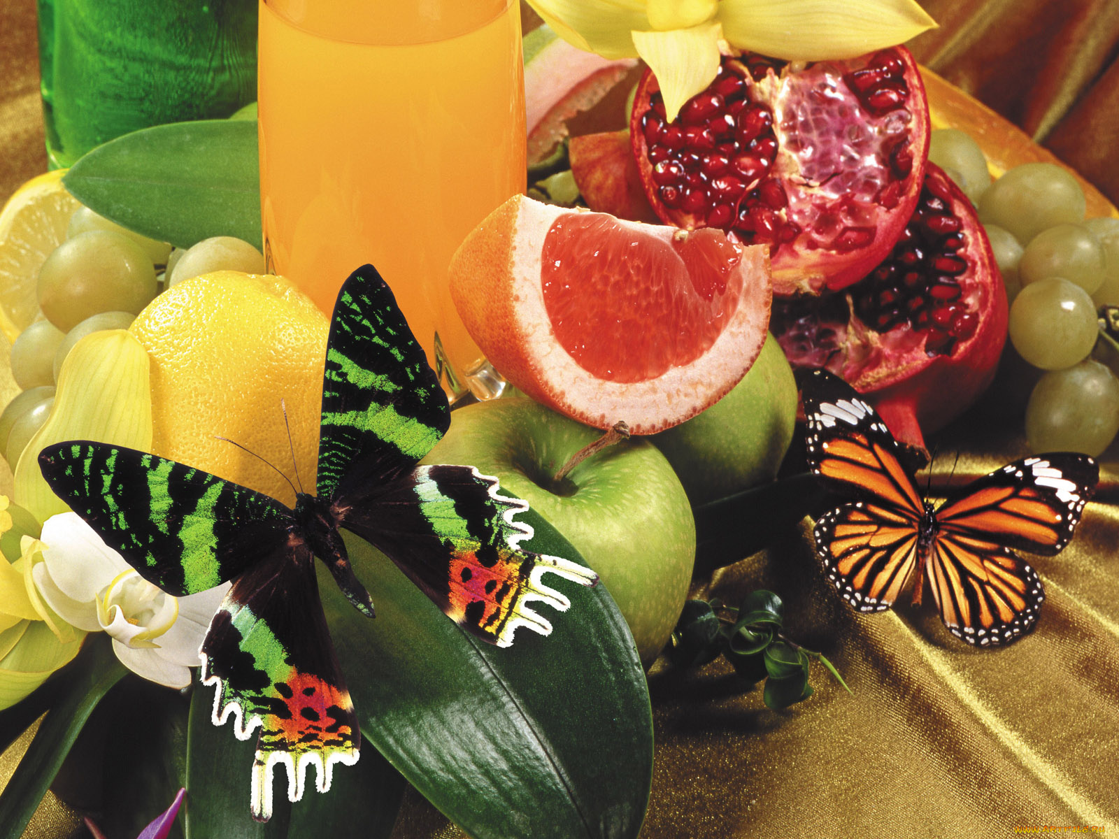 еда, фрукты, ягоды