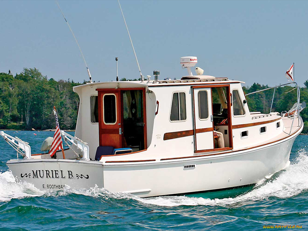 корабли, катера