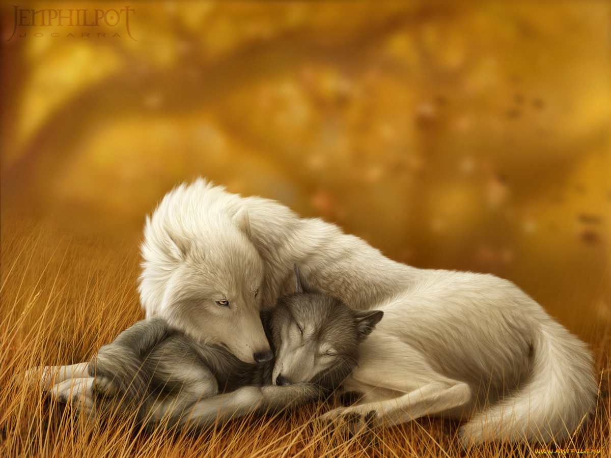 рисованные, животные