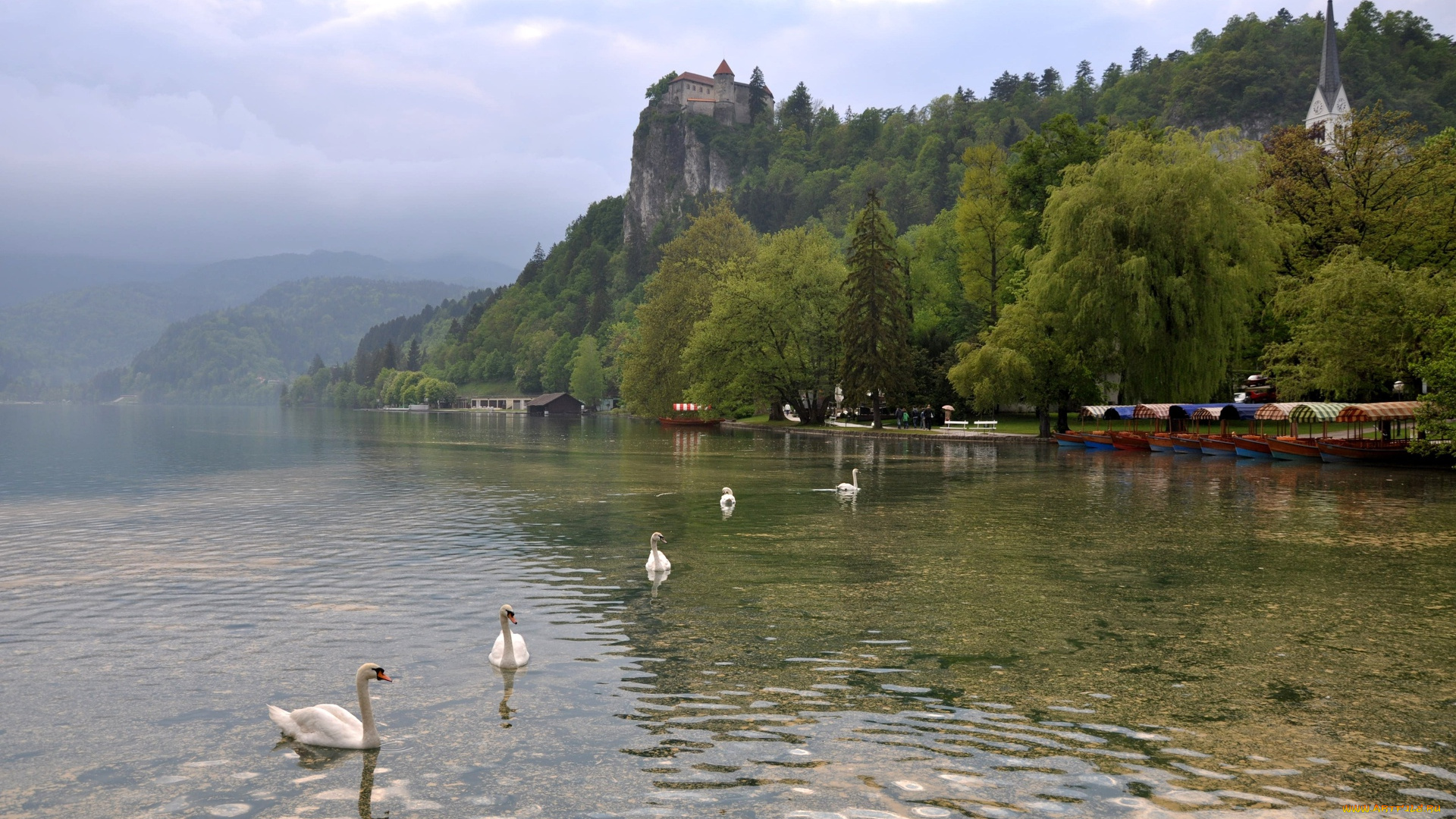 города, пейзажи, водоем, деревья