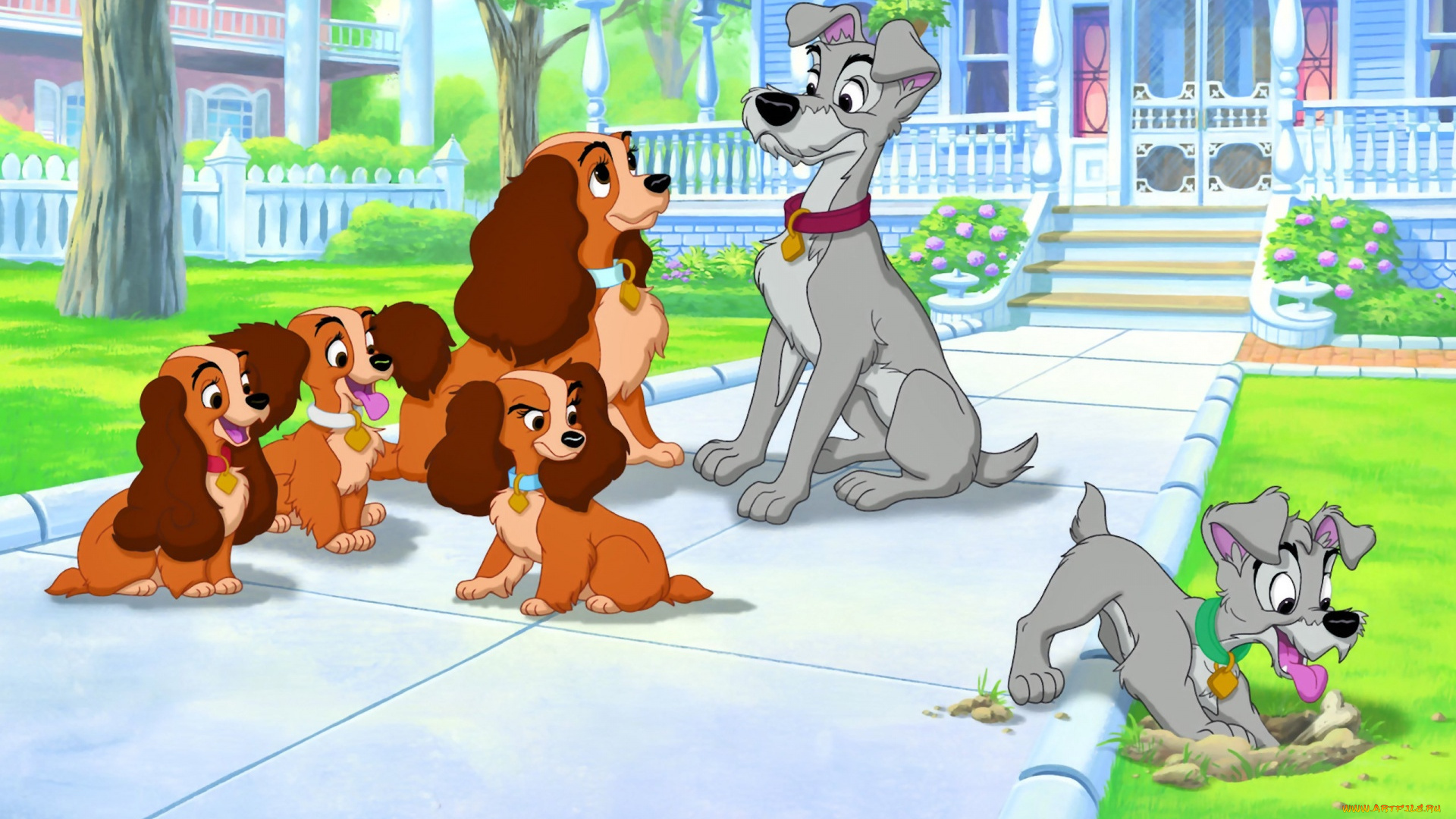 мультфильмы, lady, and, the, tramp, собаки