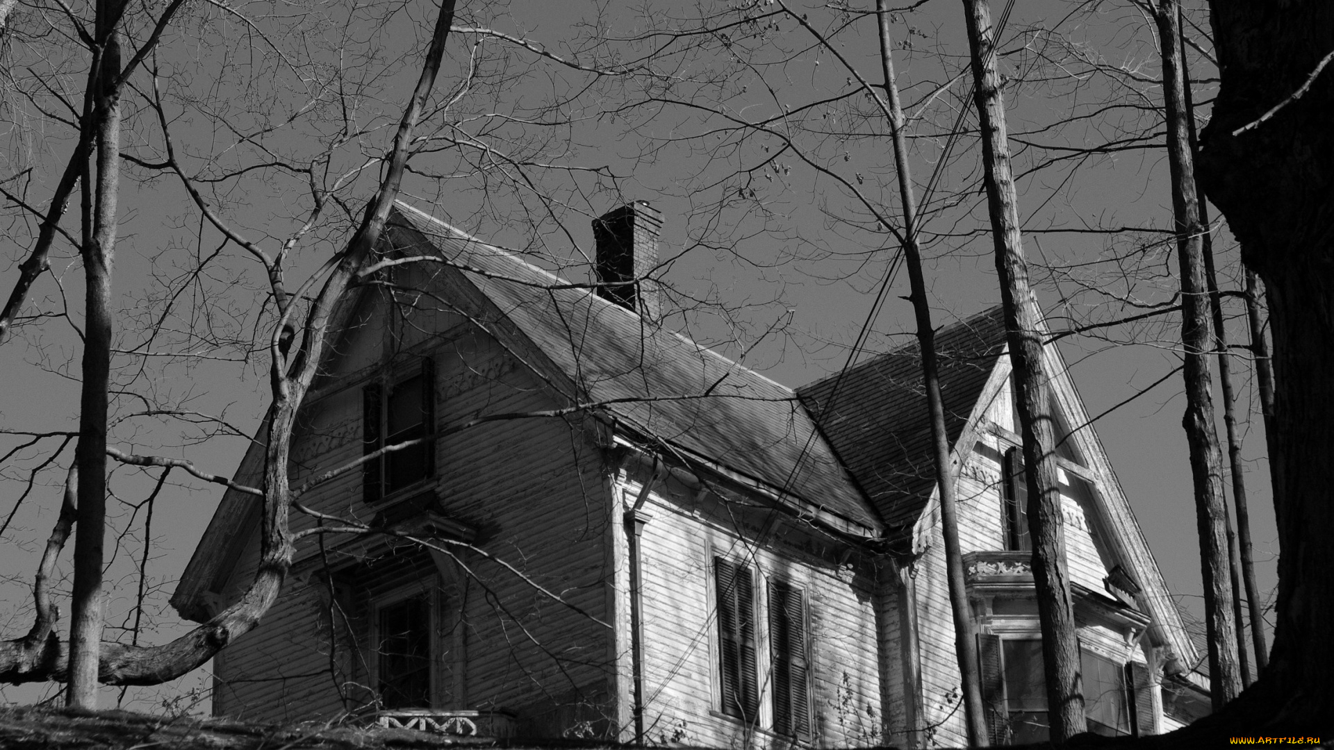 разное, сооружения, постройки, деревья, дом