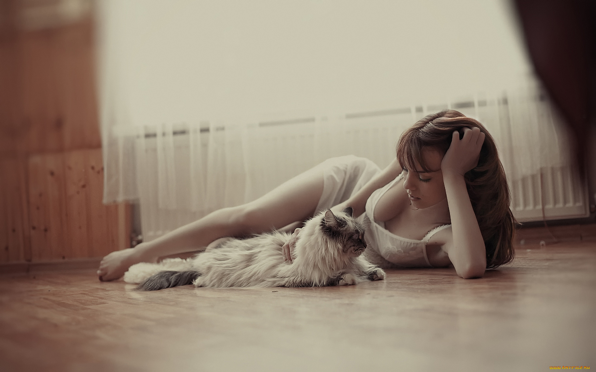 _Unsort, -НЕ, ВЫБИРАТЬ, , , девушки, , не, выбирать, кошка