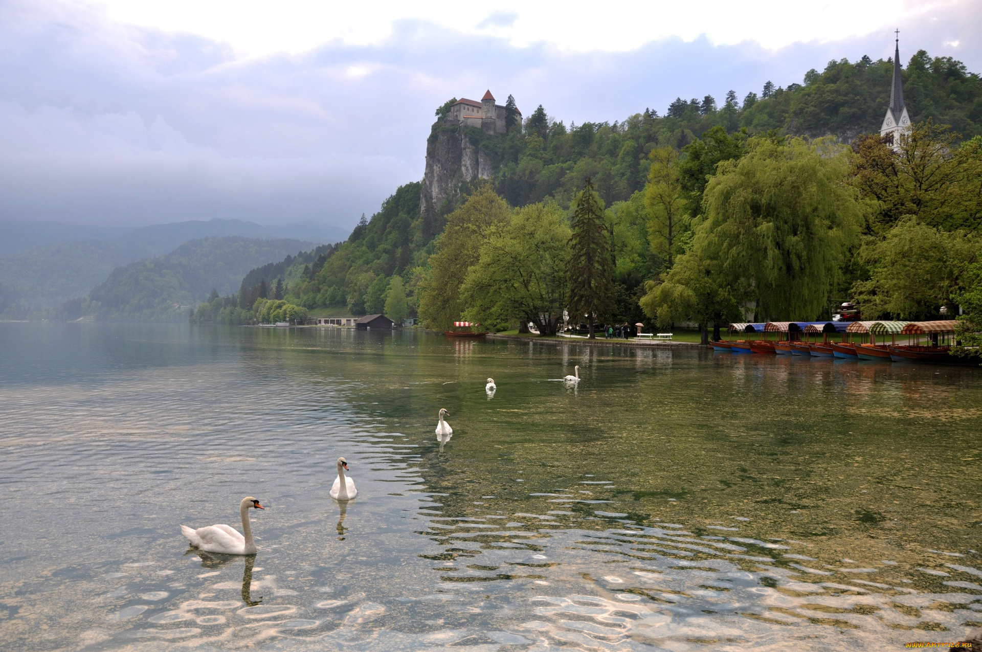 города, пейзажи, водоем, деревья