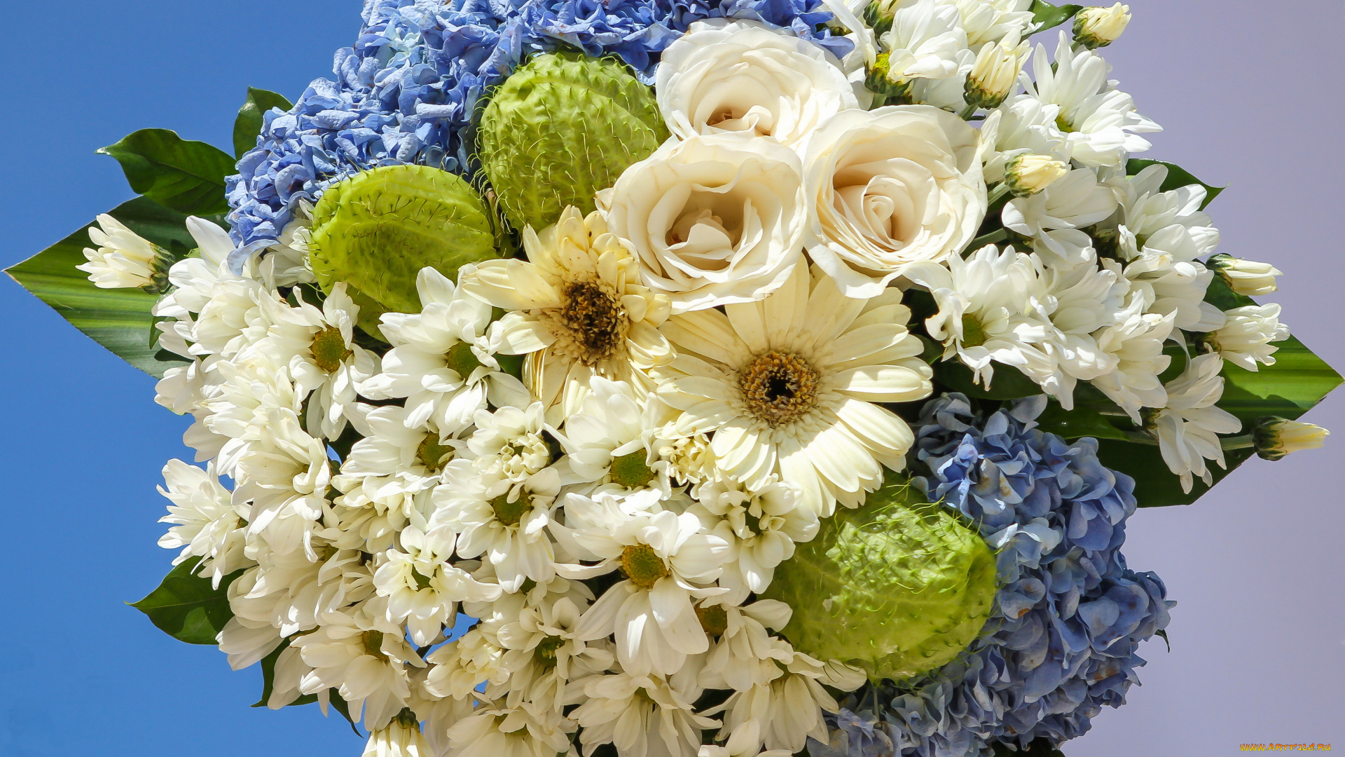 цветы, букеты, композиции, букет