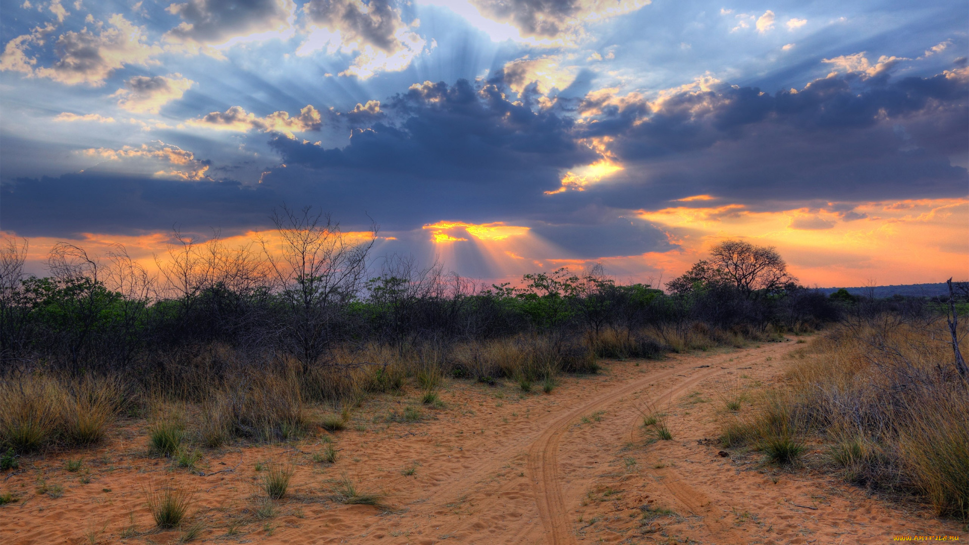 природа, дороги, дорога, трава, кусты, тучи