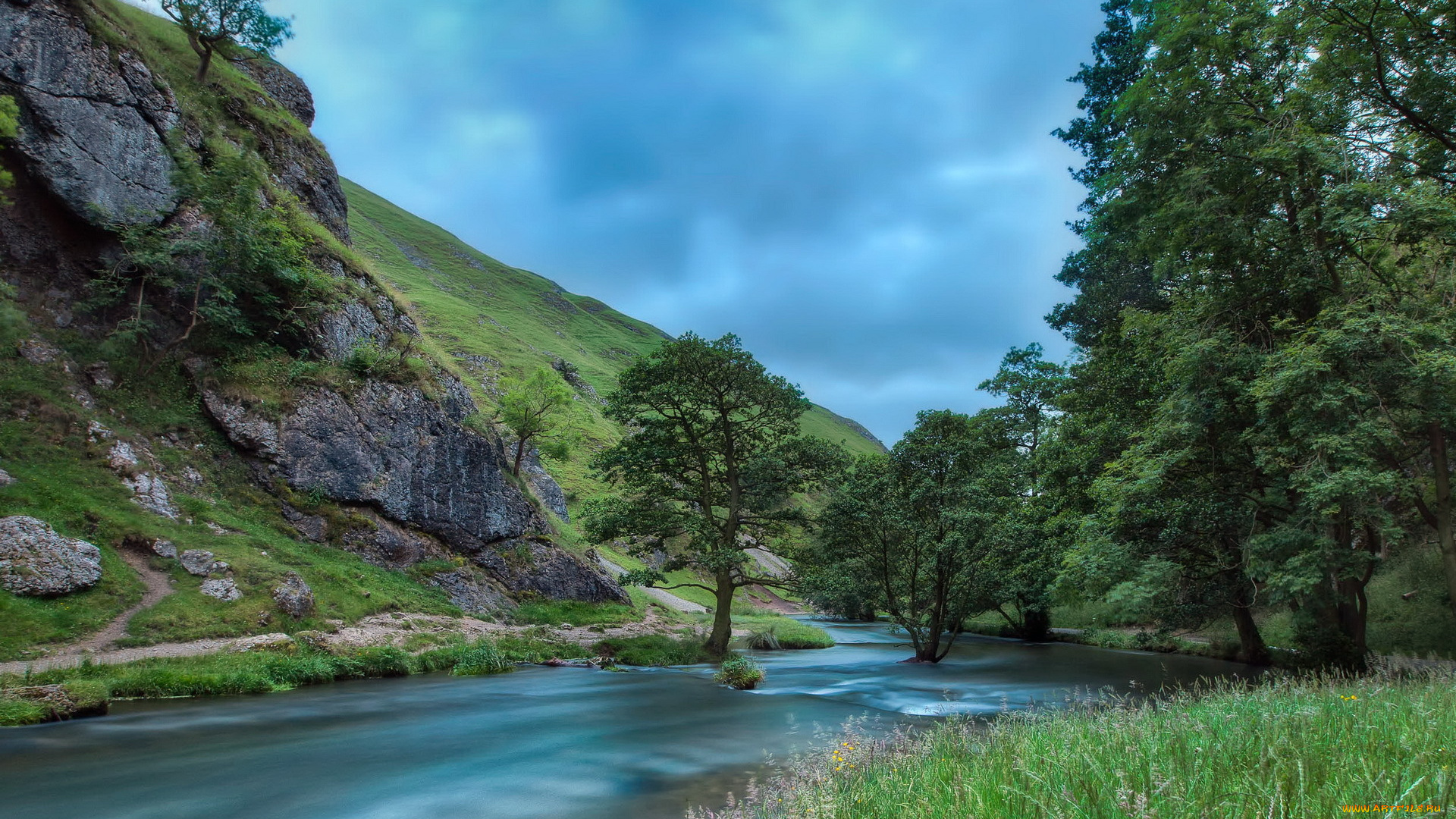 природа, реки, озера, река, лето