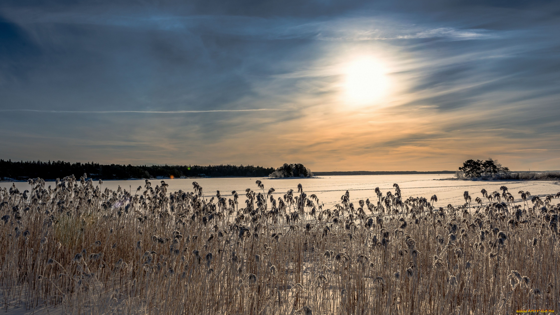 природа, восходы, закаты, балтийское, море, финляндия, лёд, камыш, закат