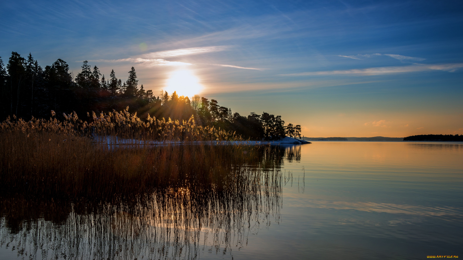 природа, восходы, закаты, финляндия, камыш, балтийское, море, закат, отражение