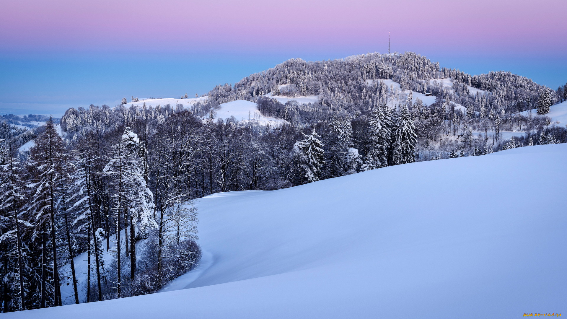 природа, зима, снег, лес