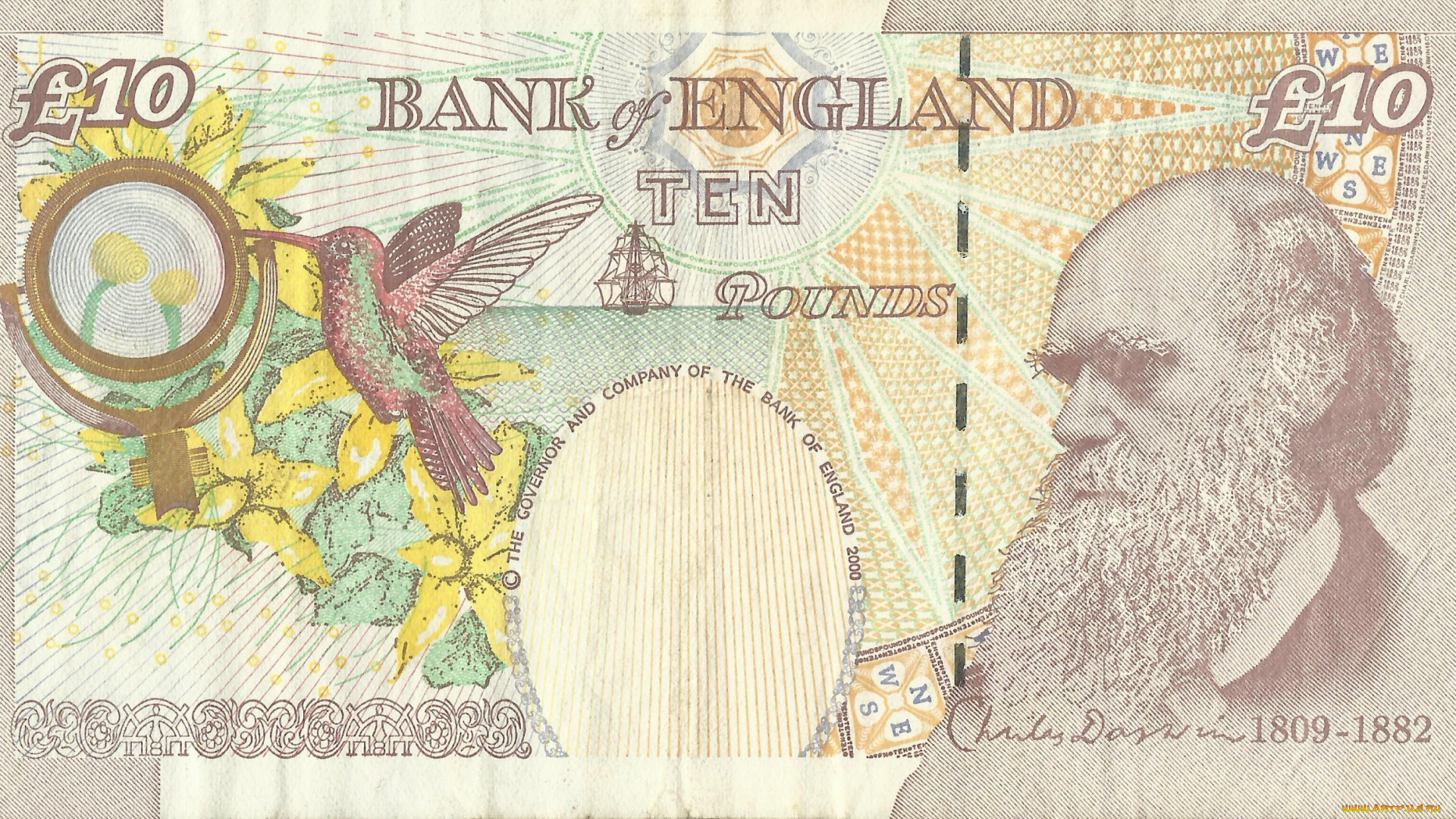 разное, золото, купюры, монеты, деньги, купюра