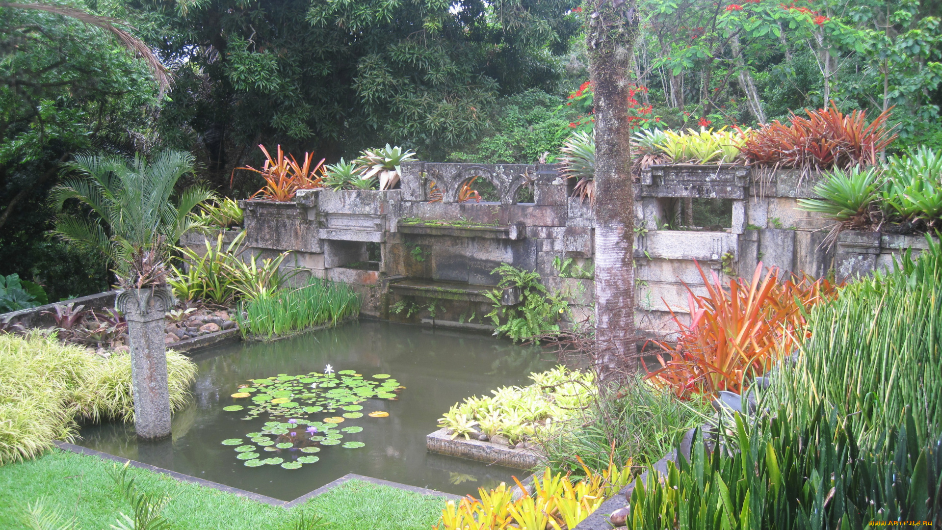 water, gardens, природа, парк, цветы, водопад, сад