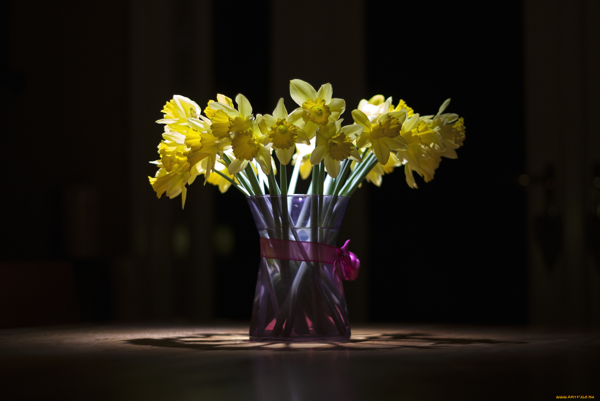 цветы, нарциссы, букет