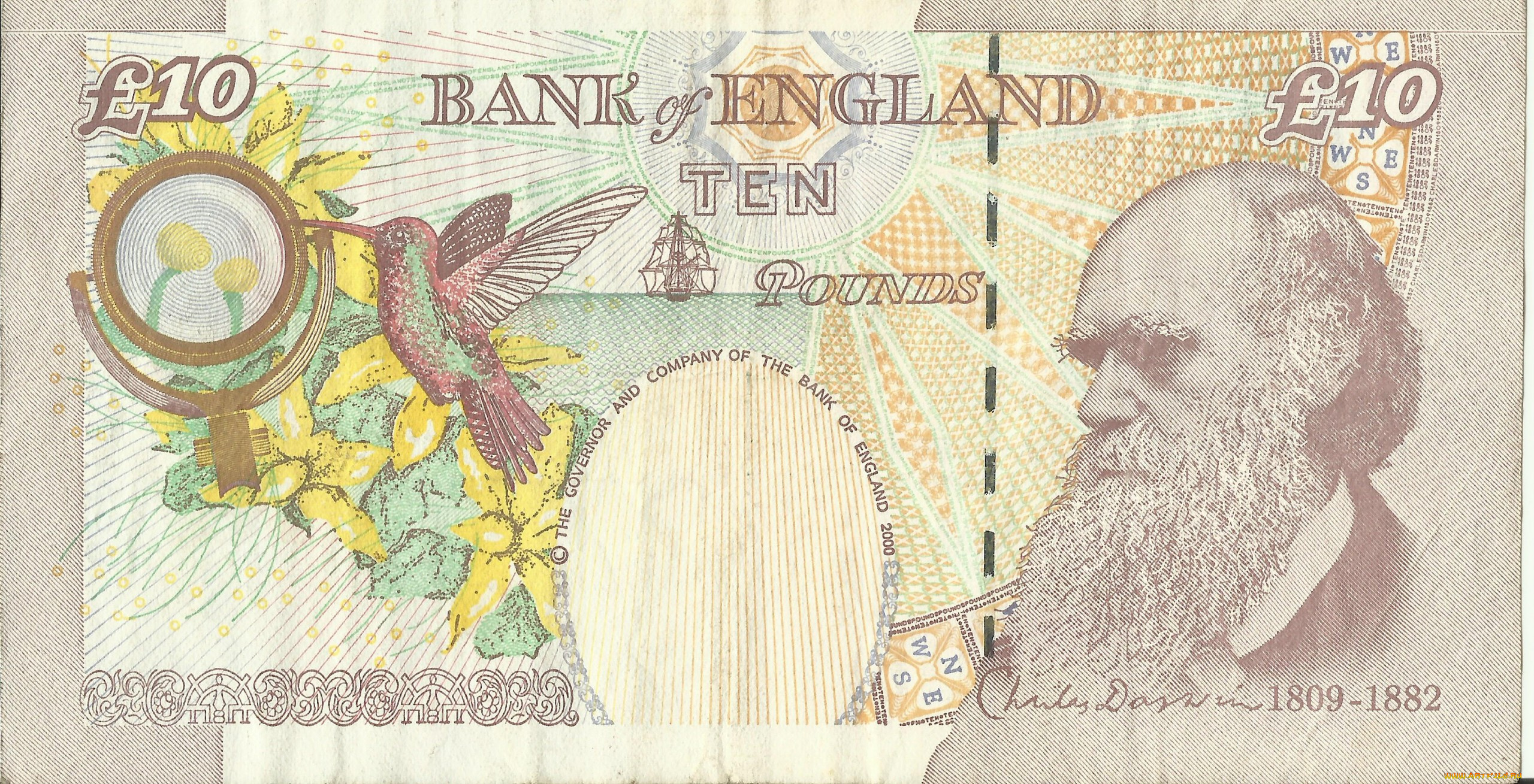 разное, золото, купюры, монеты, деньги, купюра