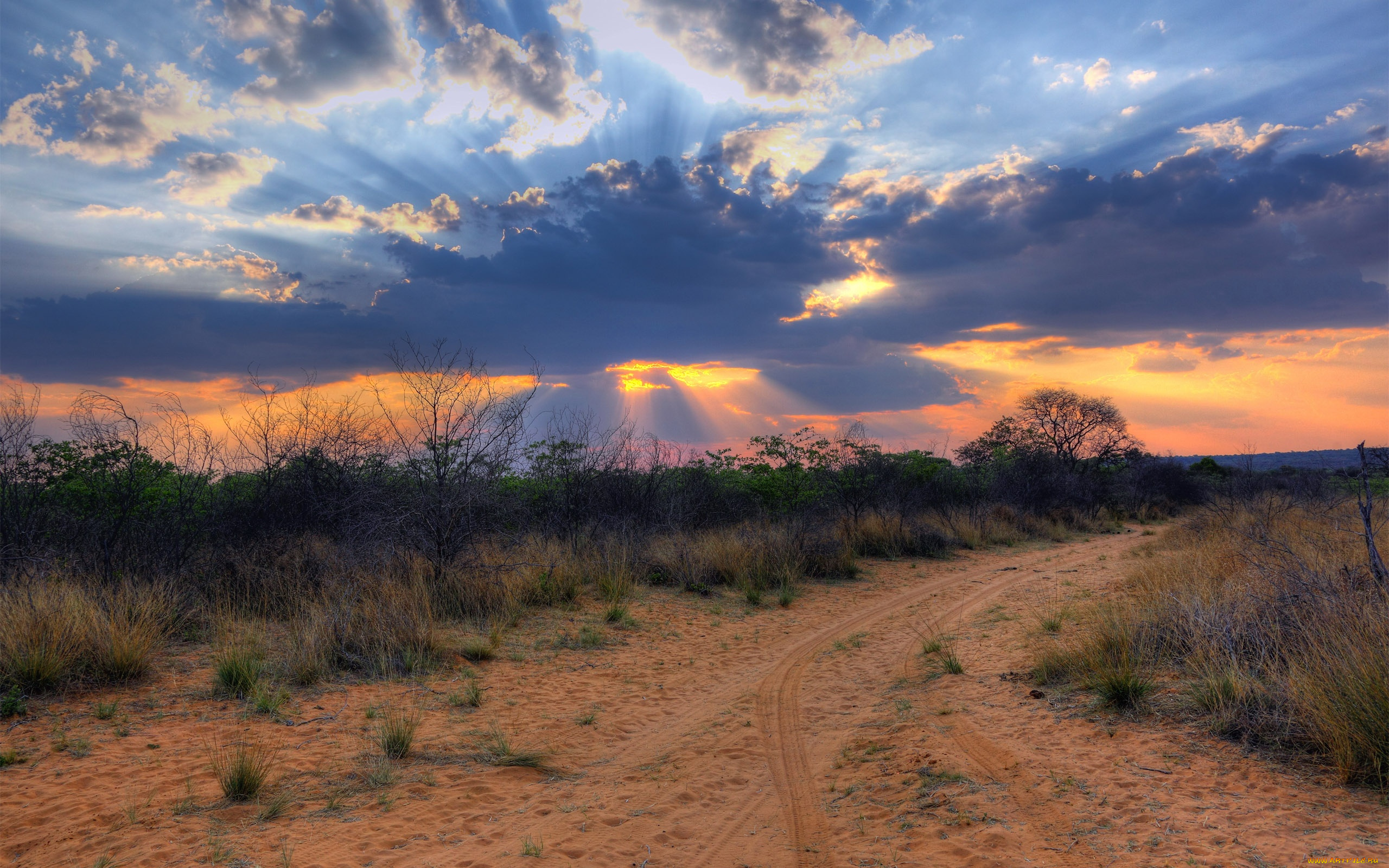 природа, дороги, дорога, трава, кусты, тучи