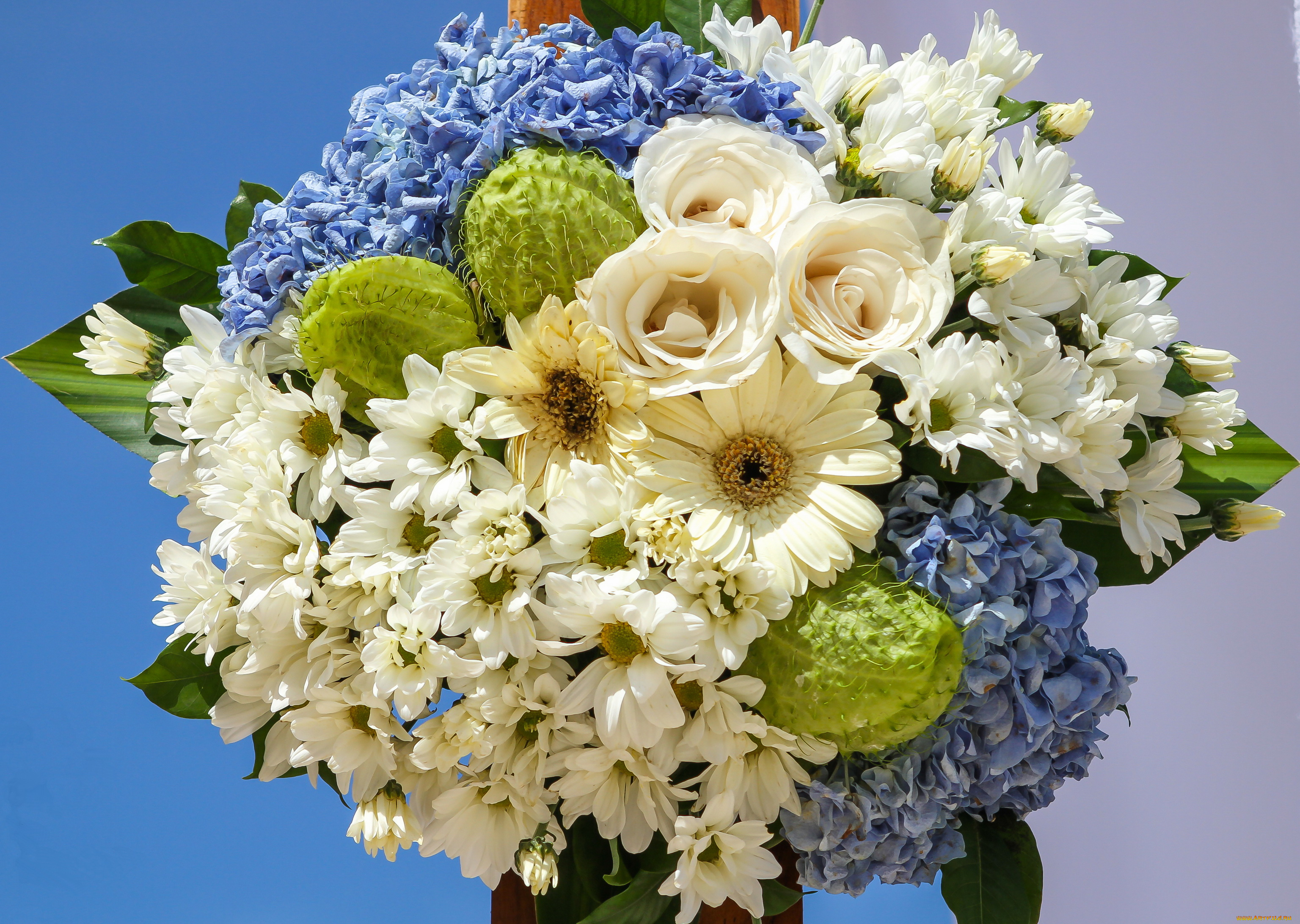 цветы, букеты, композиции, букет