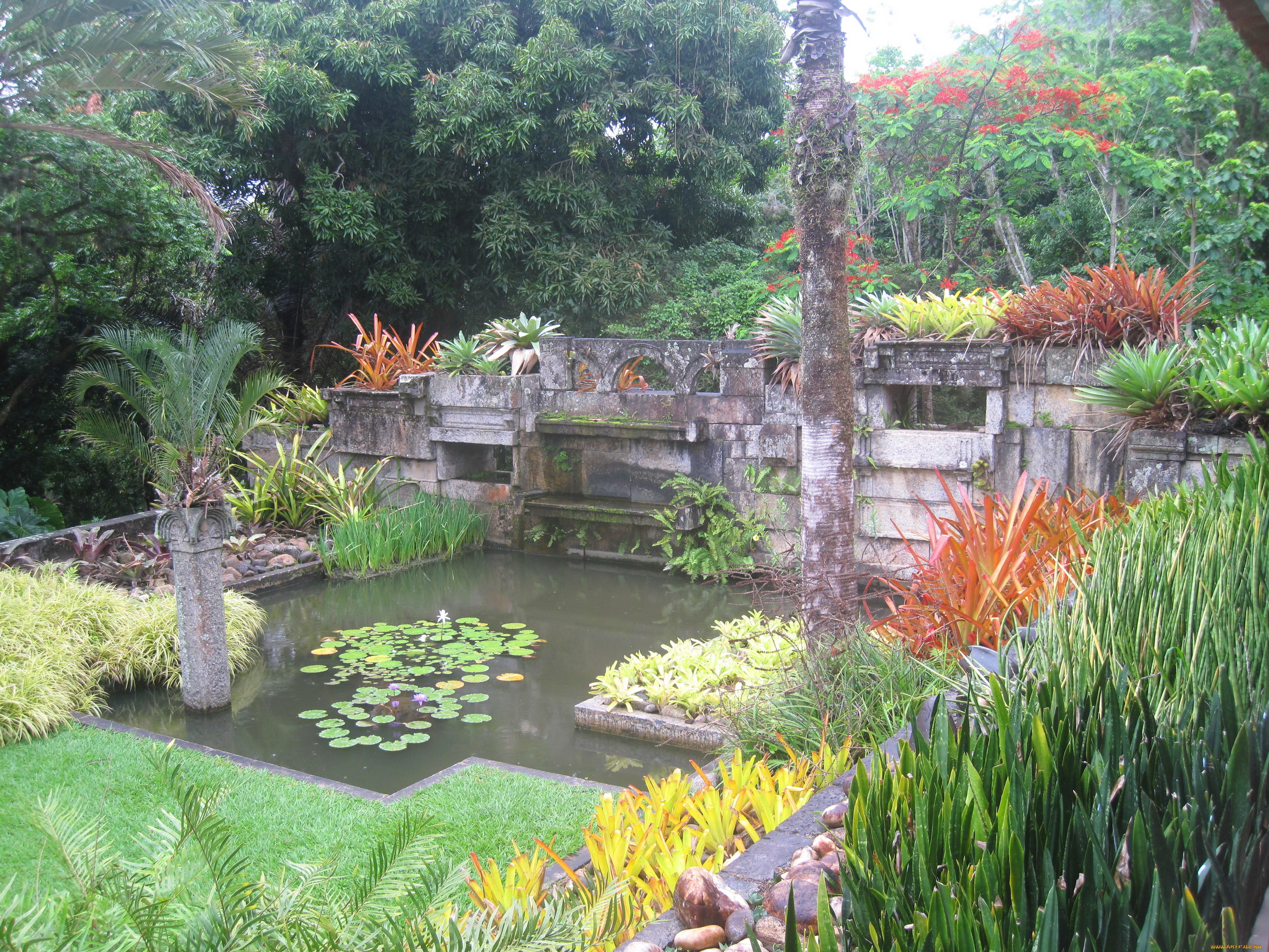 water, gardens, природа, парк, цветы, водопад, сад