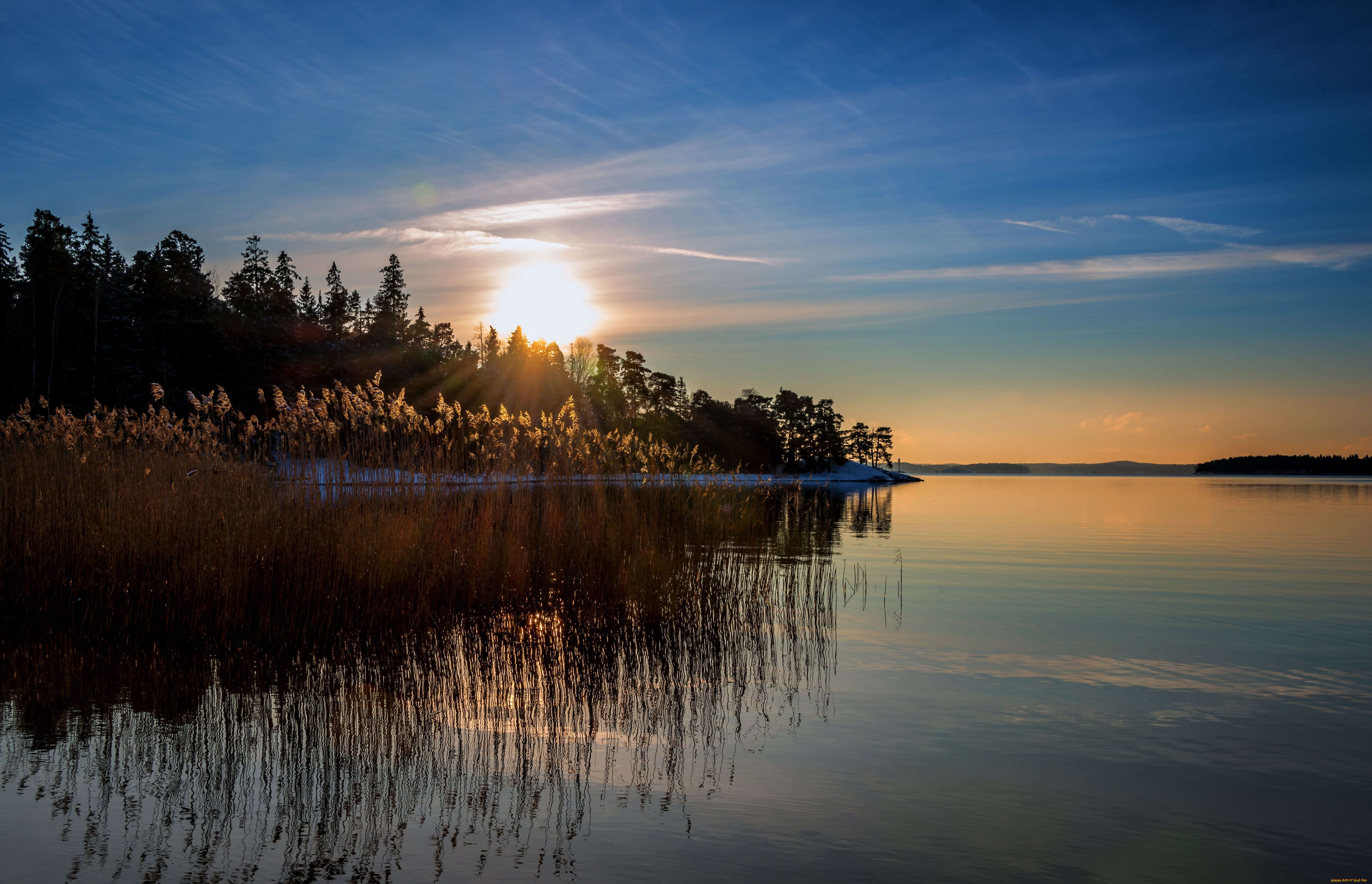 природа, восходы, закаты, финляндия, камыш, балтийское, море, закат, отражение