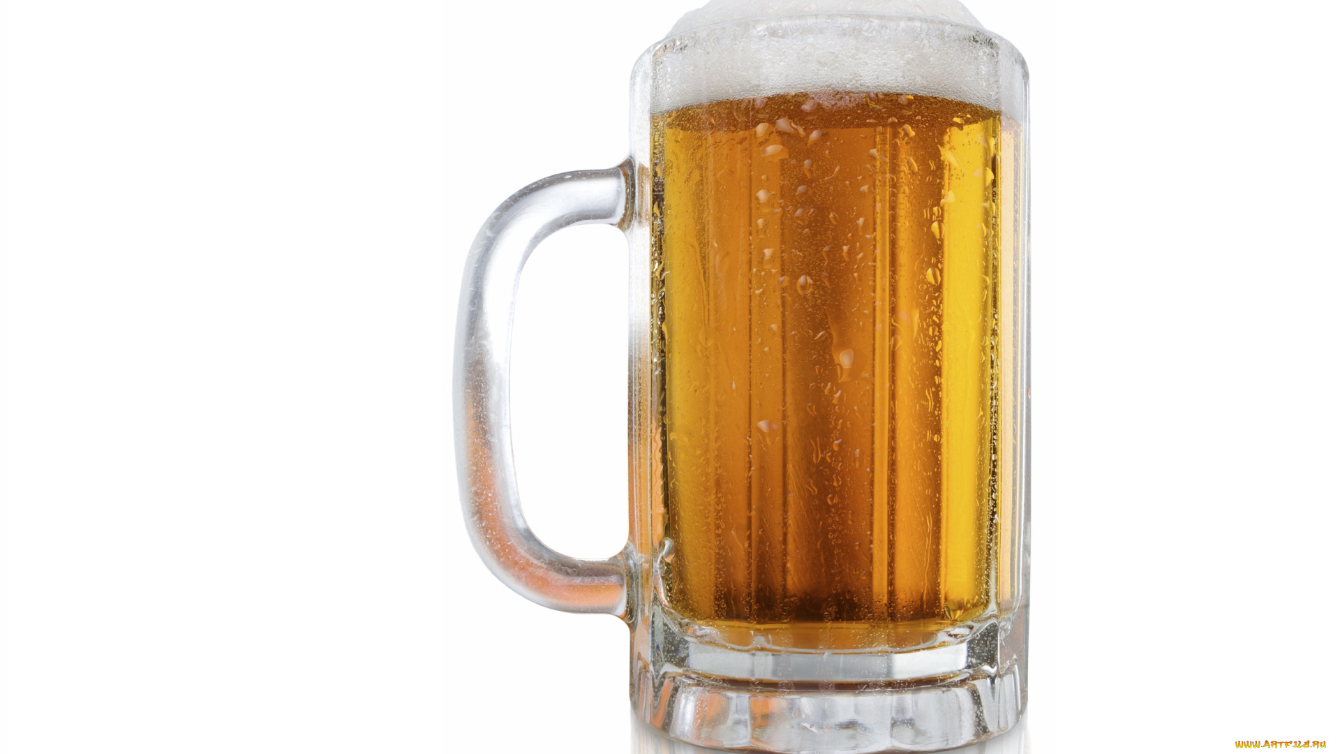 еда, напитки, , пиво, бокал, пена