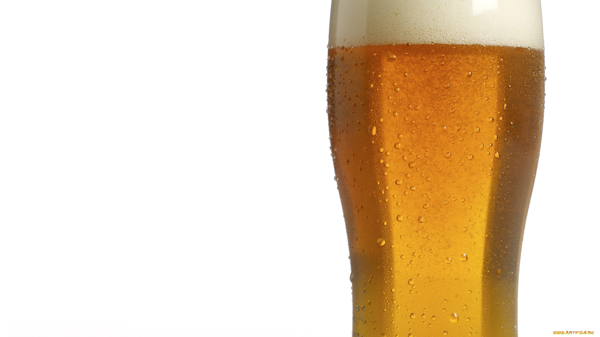 еда, напитки, , пиво, пена