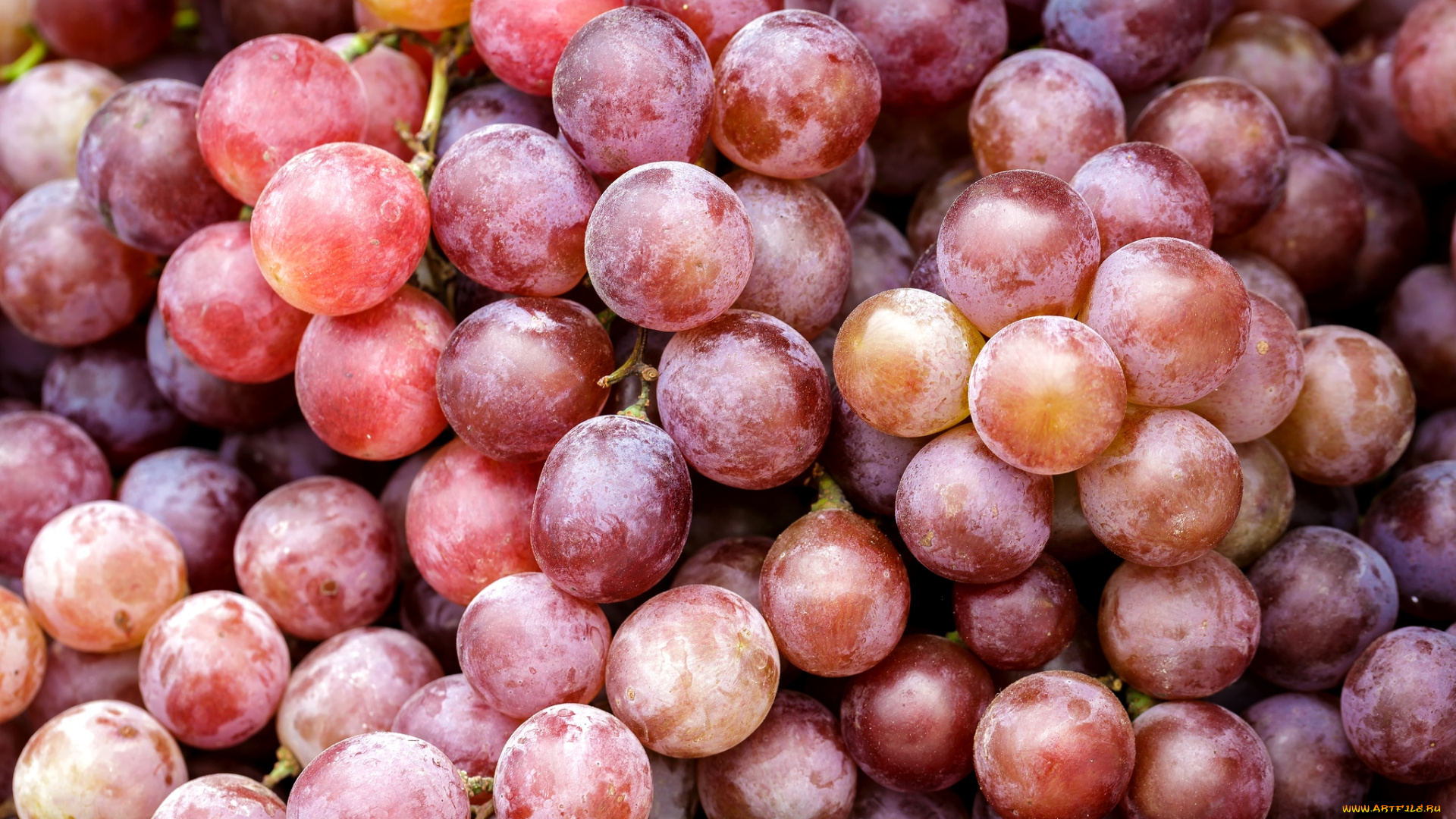 еда, виноград, ягоды