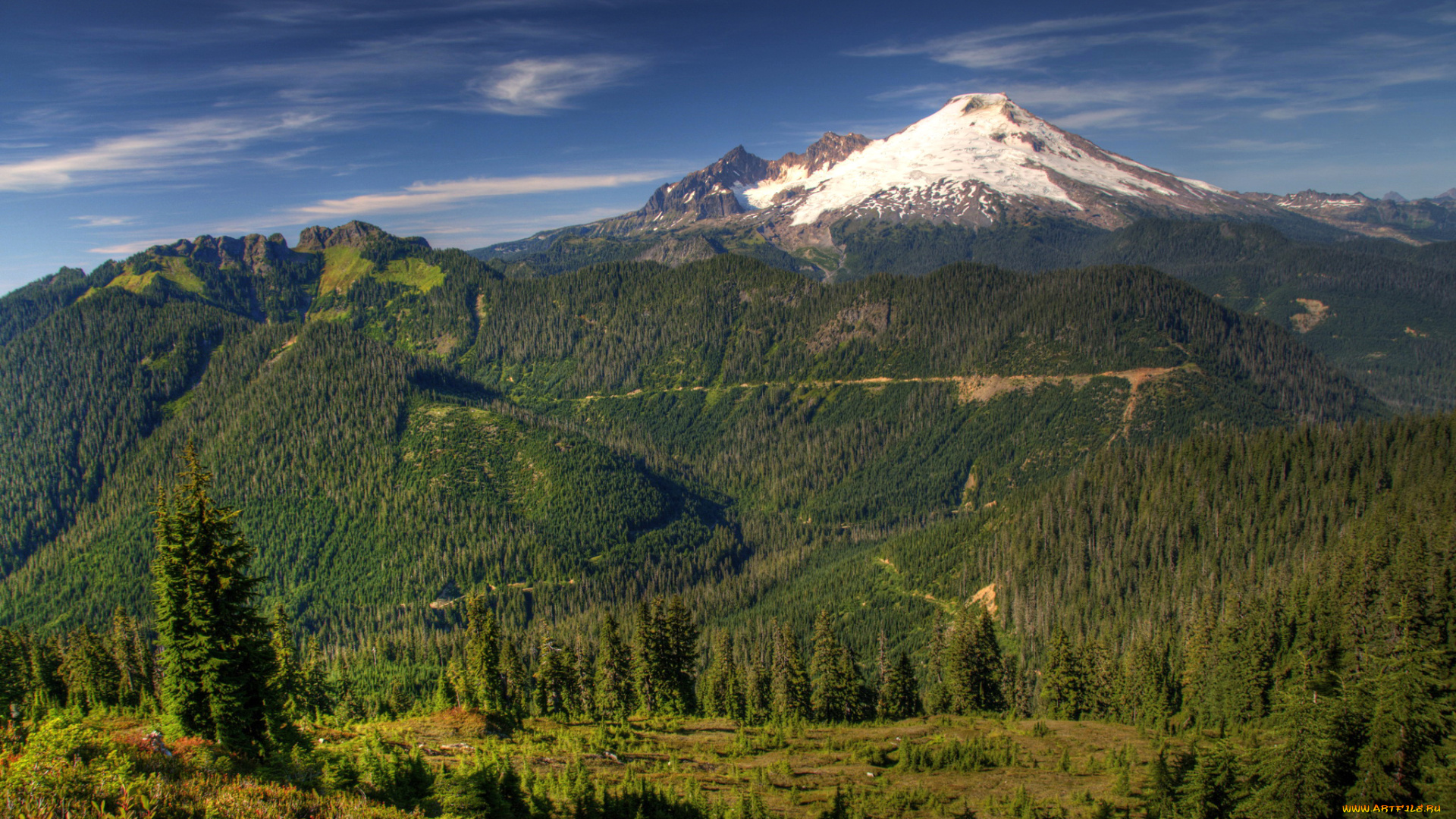 mount, baker-snoqualmie, national, forest, вашингтон, сша, природа, горы, ели, лес