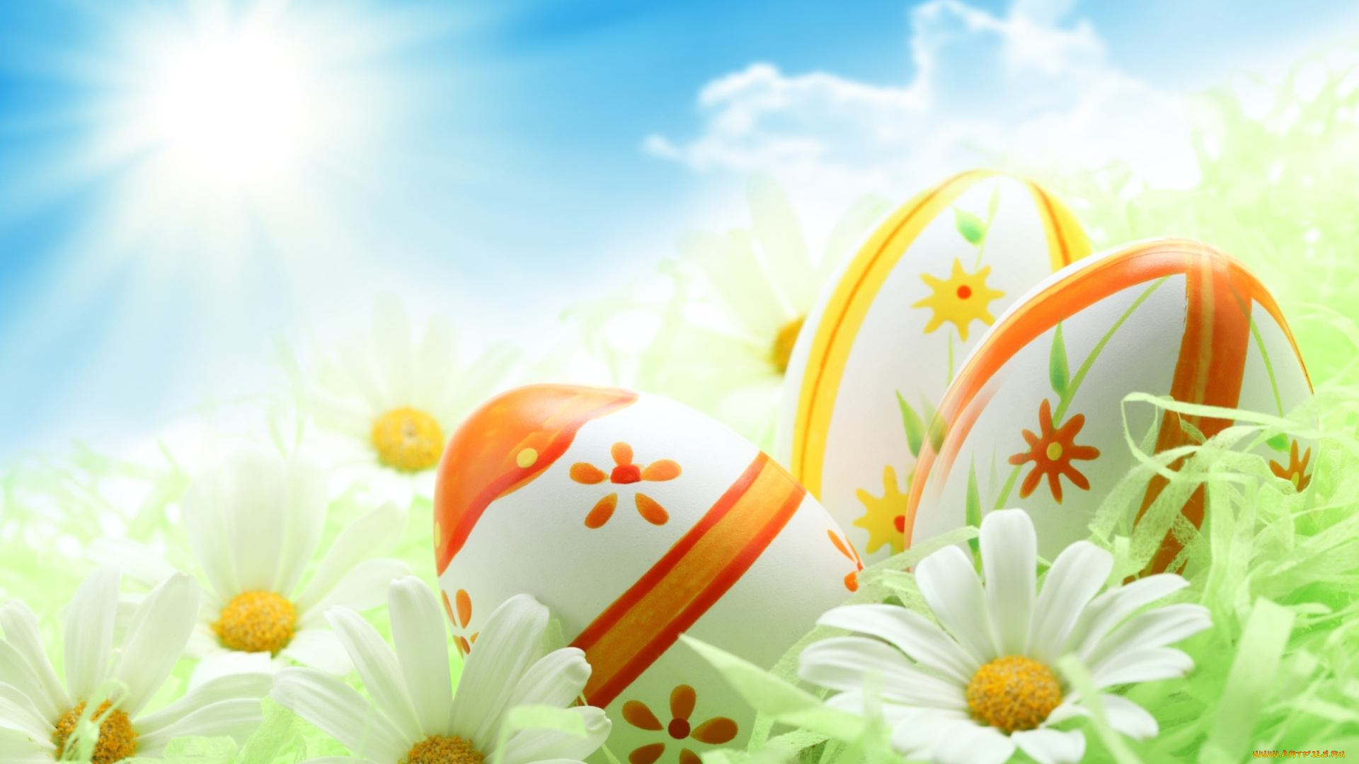 праздничные, пасха, небо, ромашки, зелень, солнце, праздник, Яйца