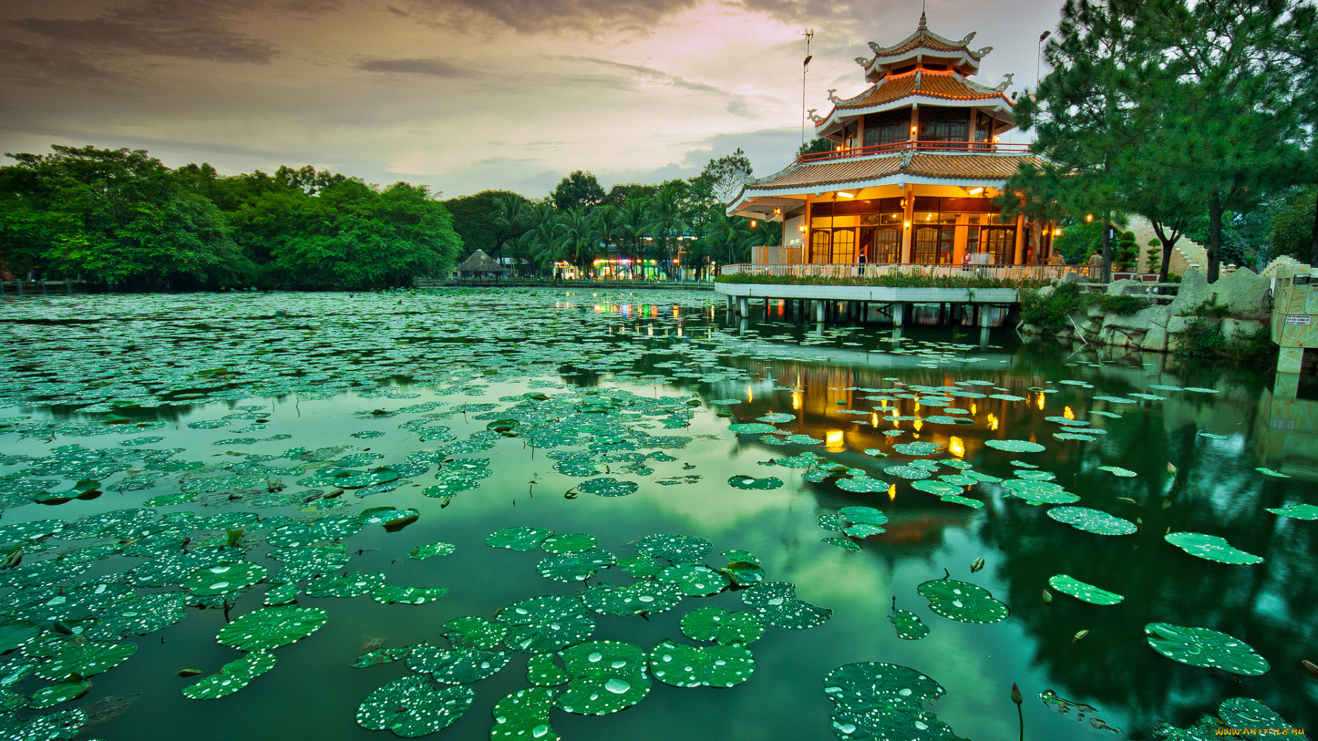 природа, парк, огни, павильон, пруд, кувшинки, вечер
