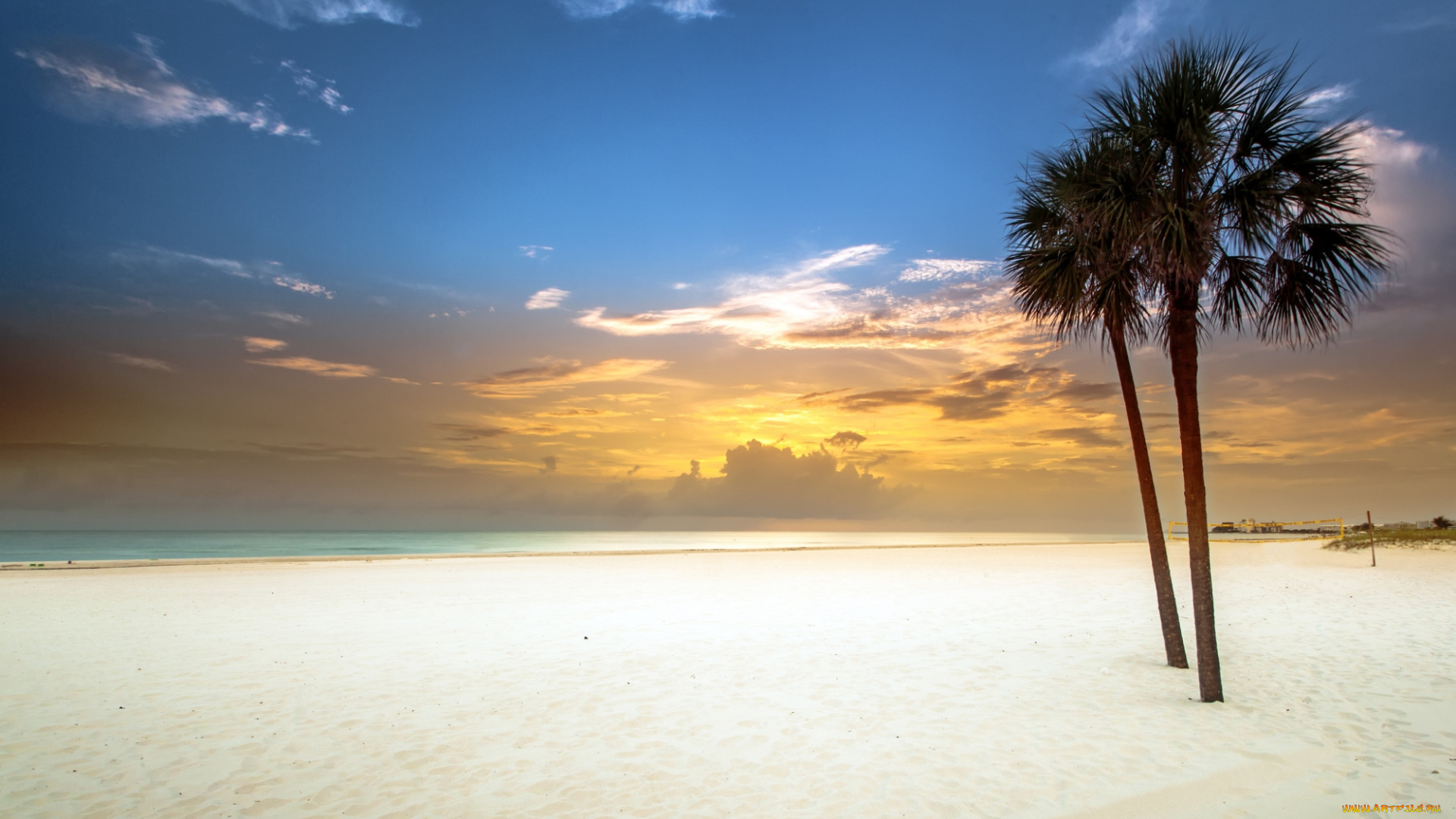 природа, побережье, пальмы, закат, белый, залив, песок, пляж