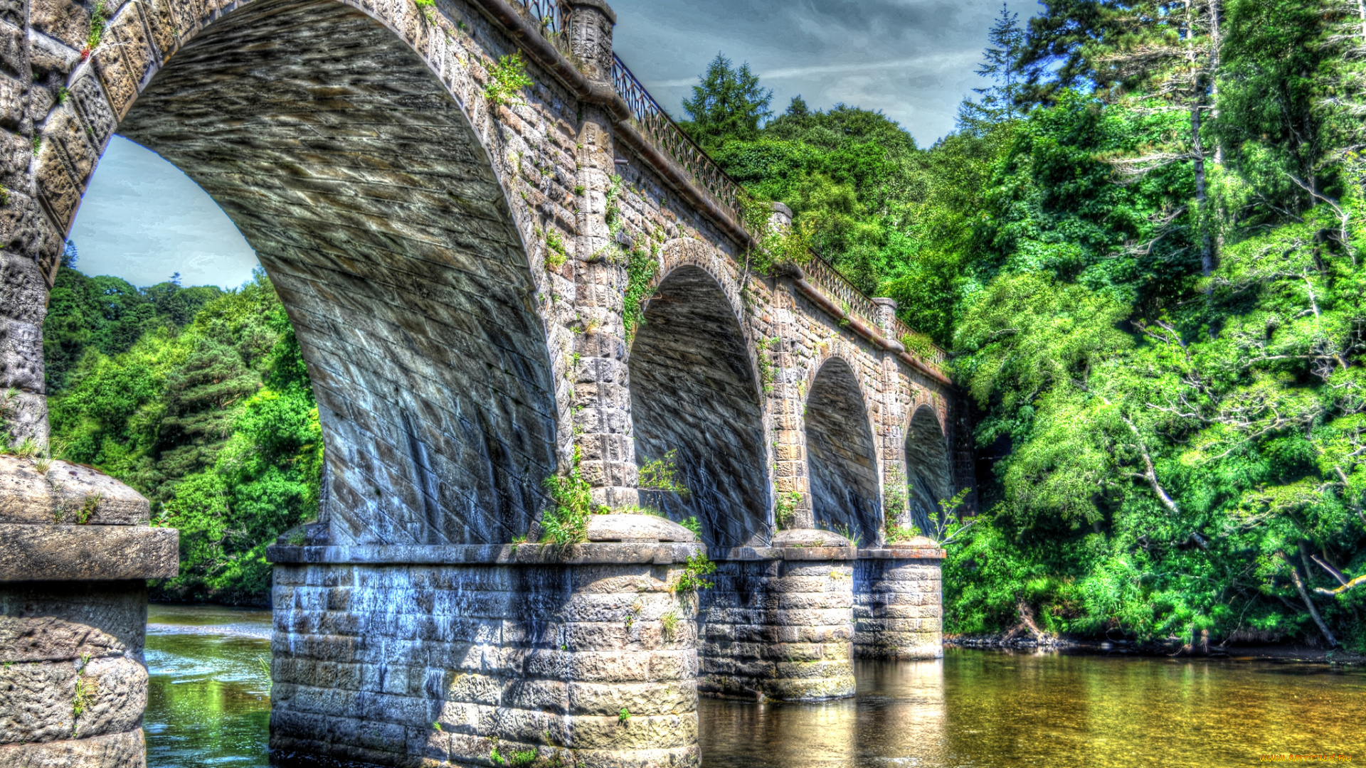 природа, реки, озера, лес, река, мост, арки