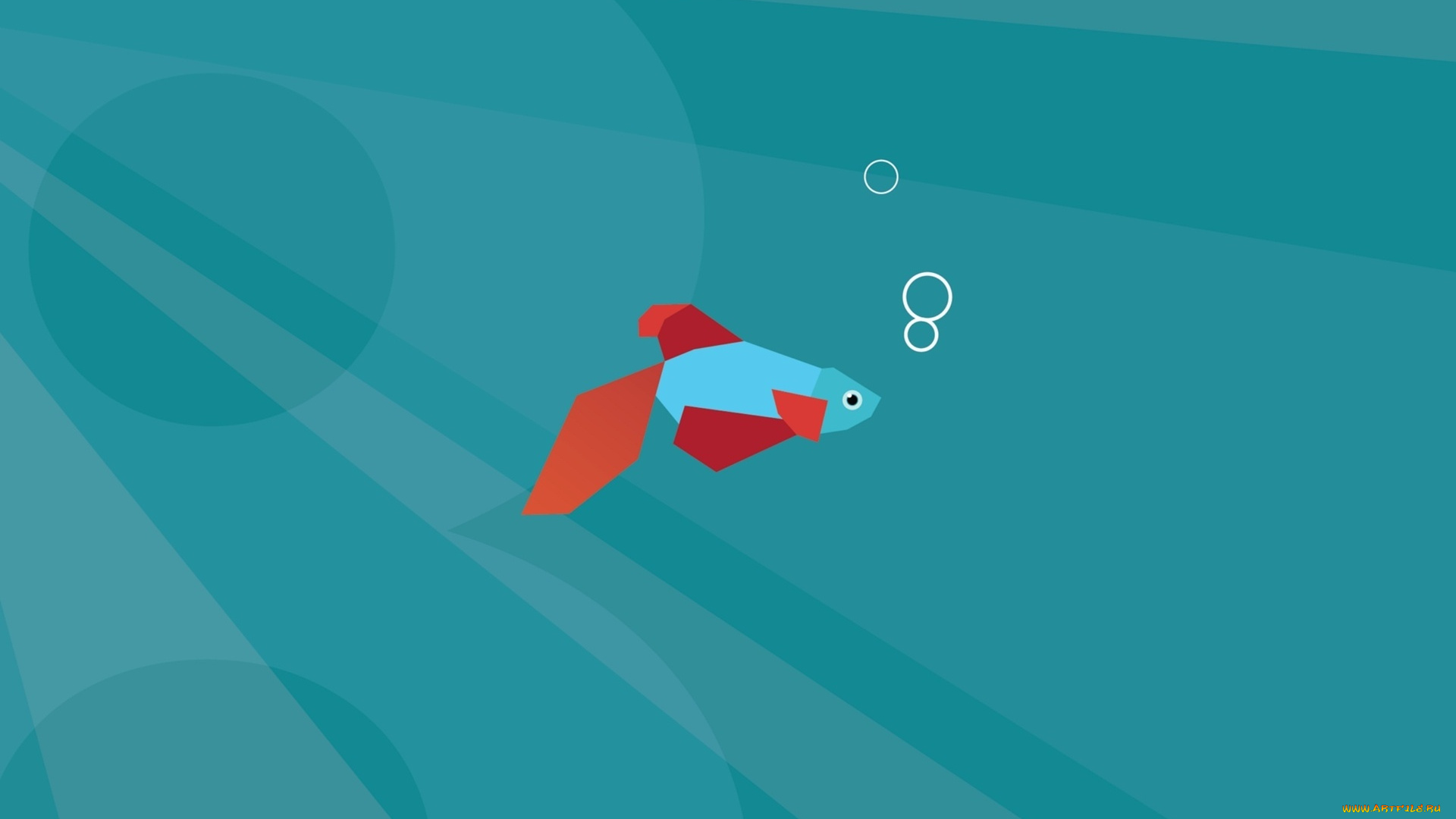 рисованные, минимализм, рыбка