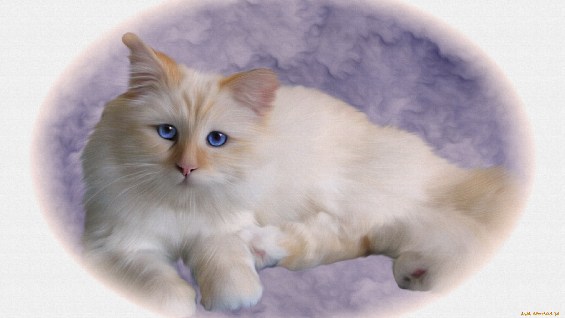 рисованные, животные, , коты, фон, взгляд, киса