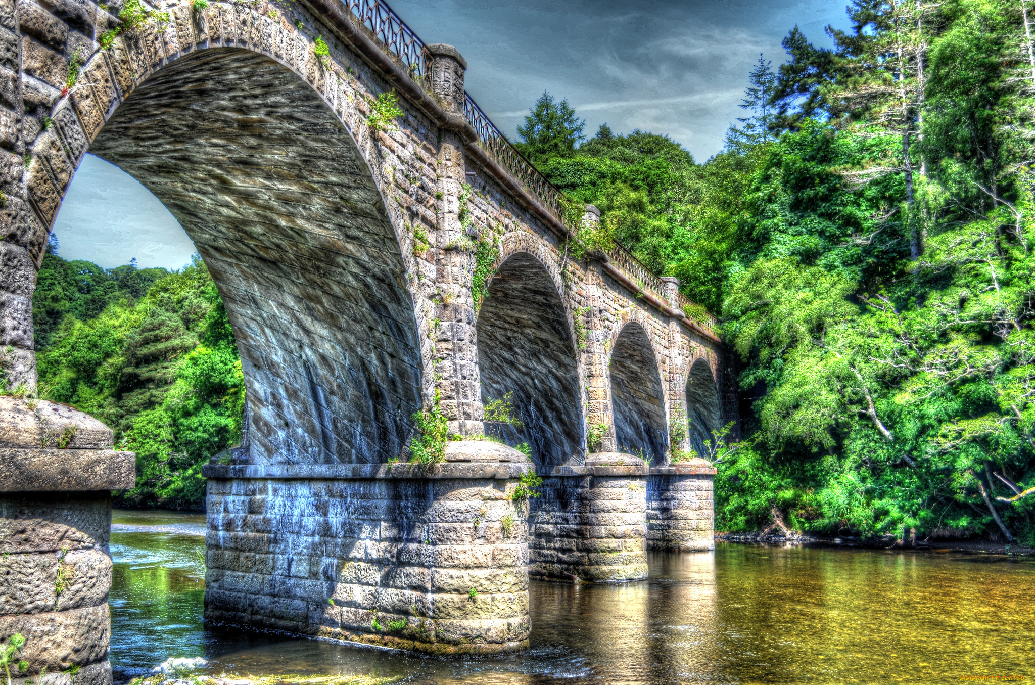 природа, реки, озера, лес, река, мост, арки