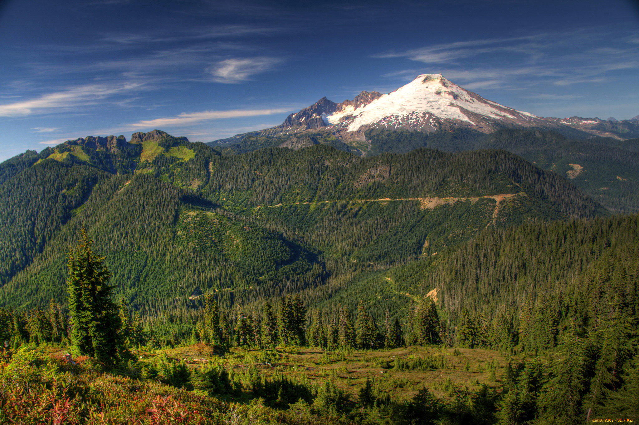 mount, baker-snoqualmie, national, forest, вашингтон, сша, природа, горы, ели, лес