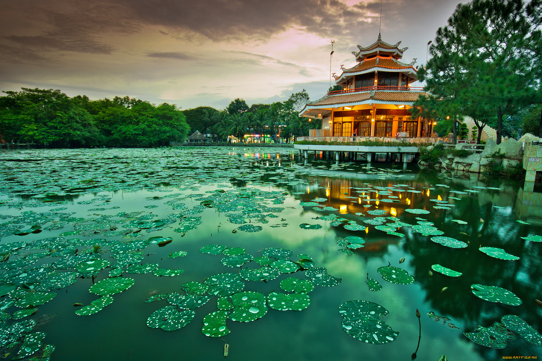 природа, парк, огни, павильон, пруд, кувшинки, вечер