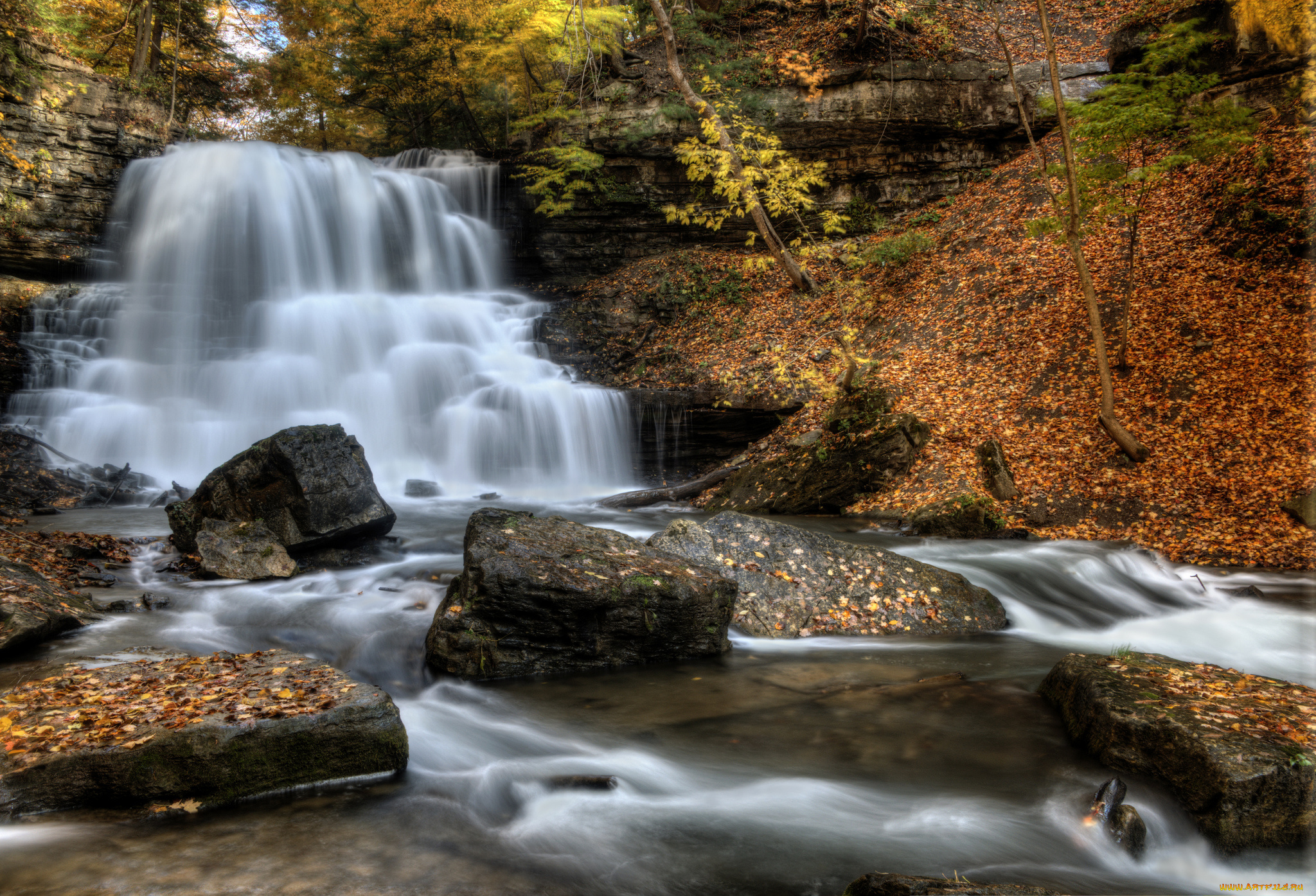 lower, decew, falls, , st, , catharines, ontario, природа, водопады, скалы, водопад, река, лес, ущелье