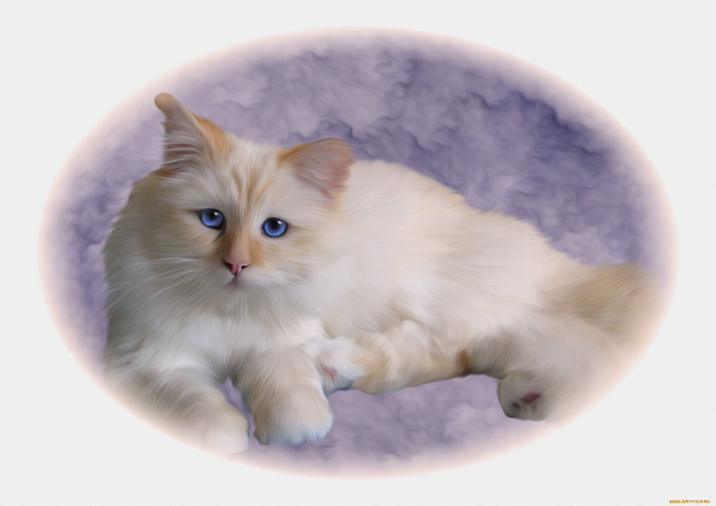 рисованные, животные, , коты, фон, взгляд, киса