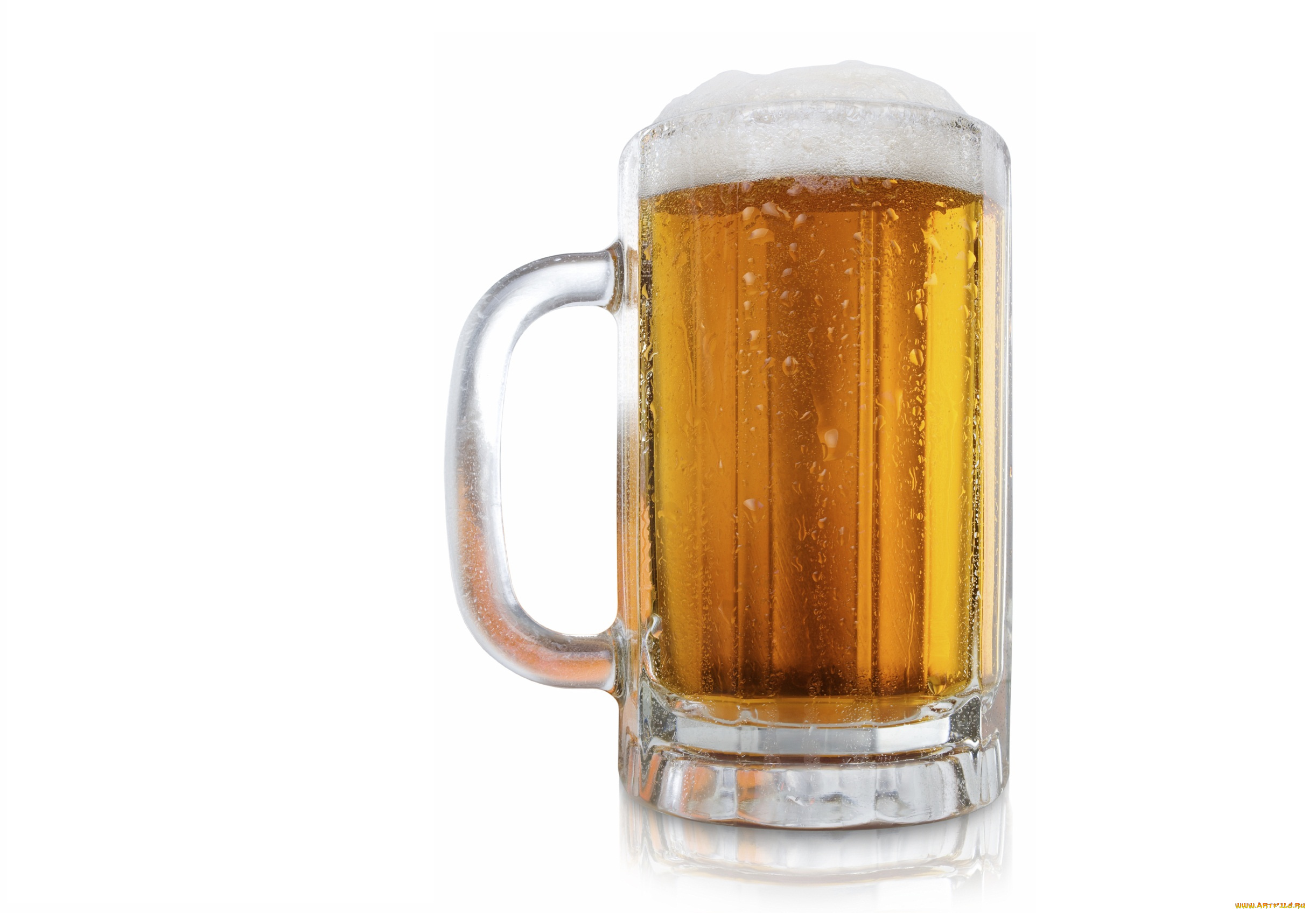 еда, напитки, , пиво, бокал, пена