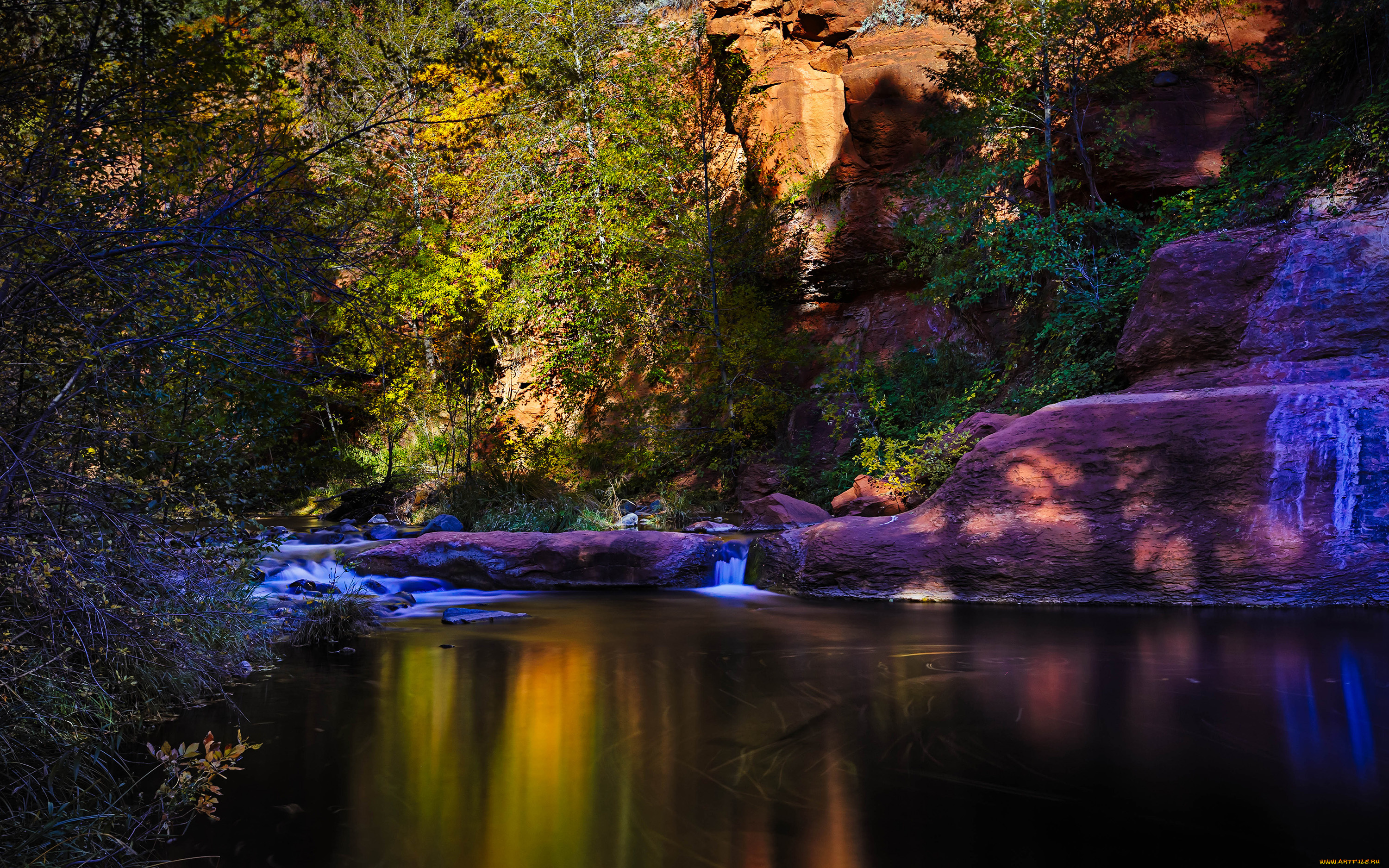 природа, реки, озера, деревья, красота