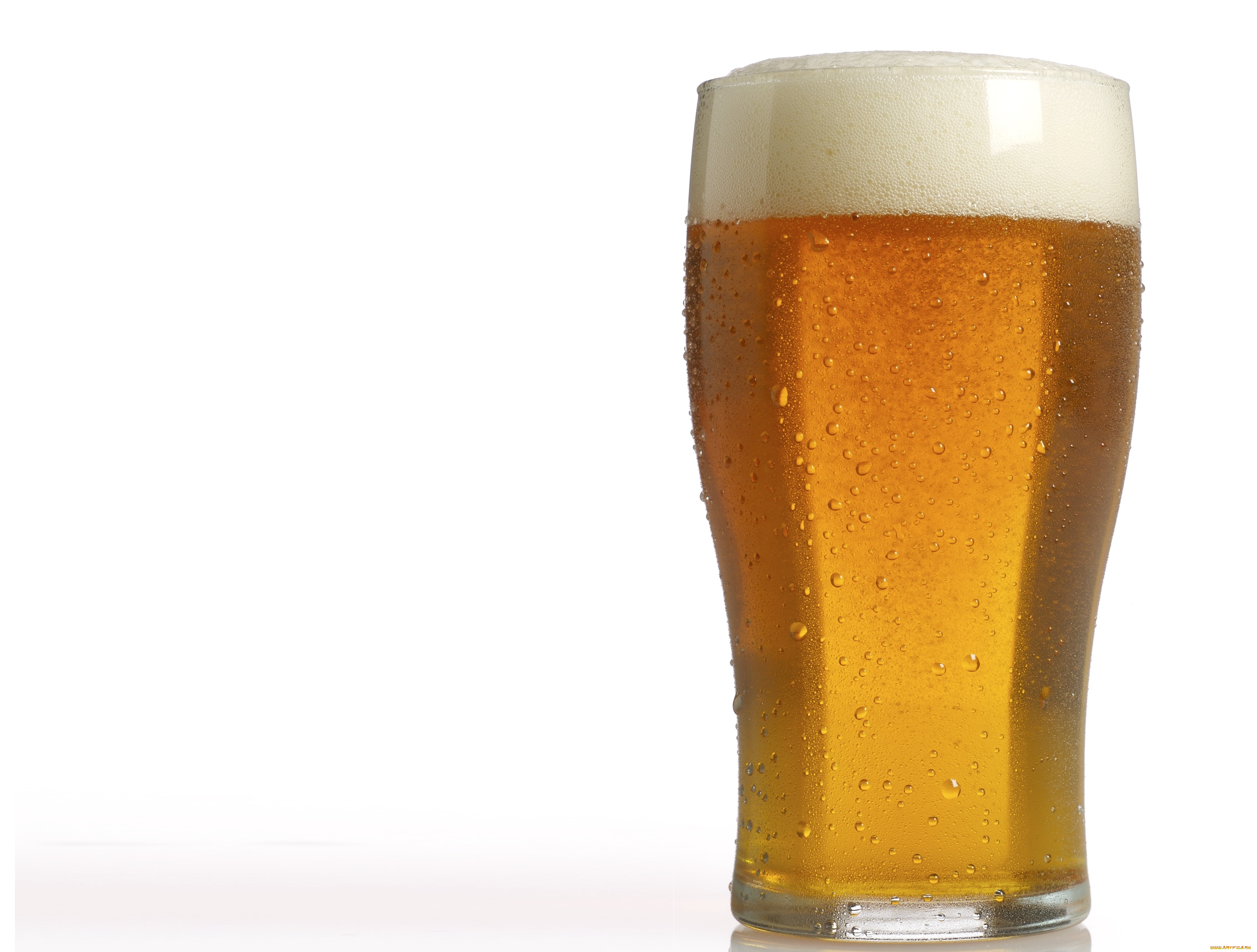 еда, напитки, , пиво, пена