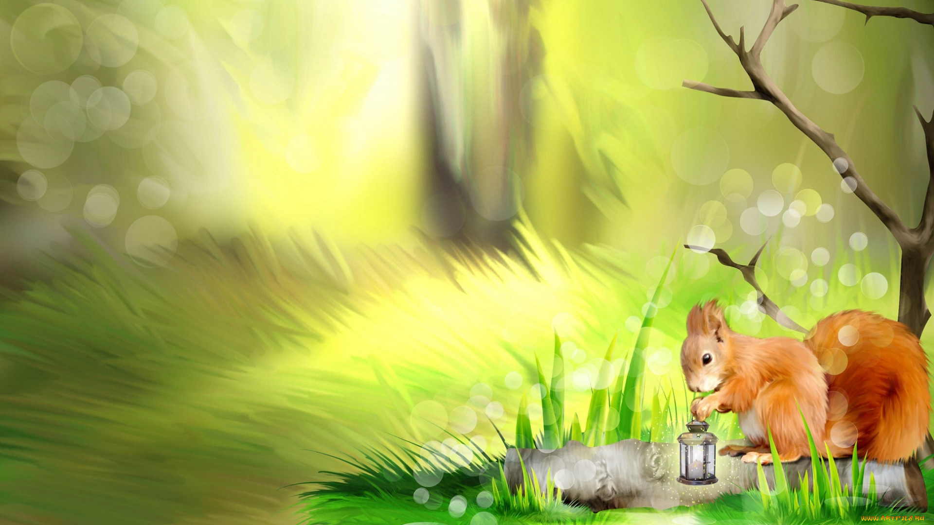 рисованное, животные, , белки, фонарь, трава, белка