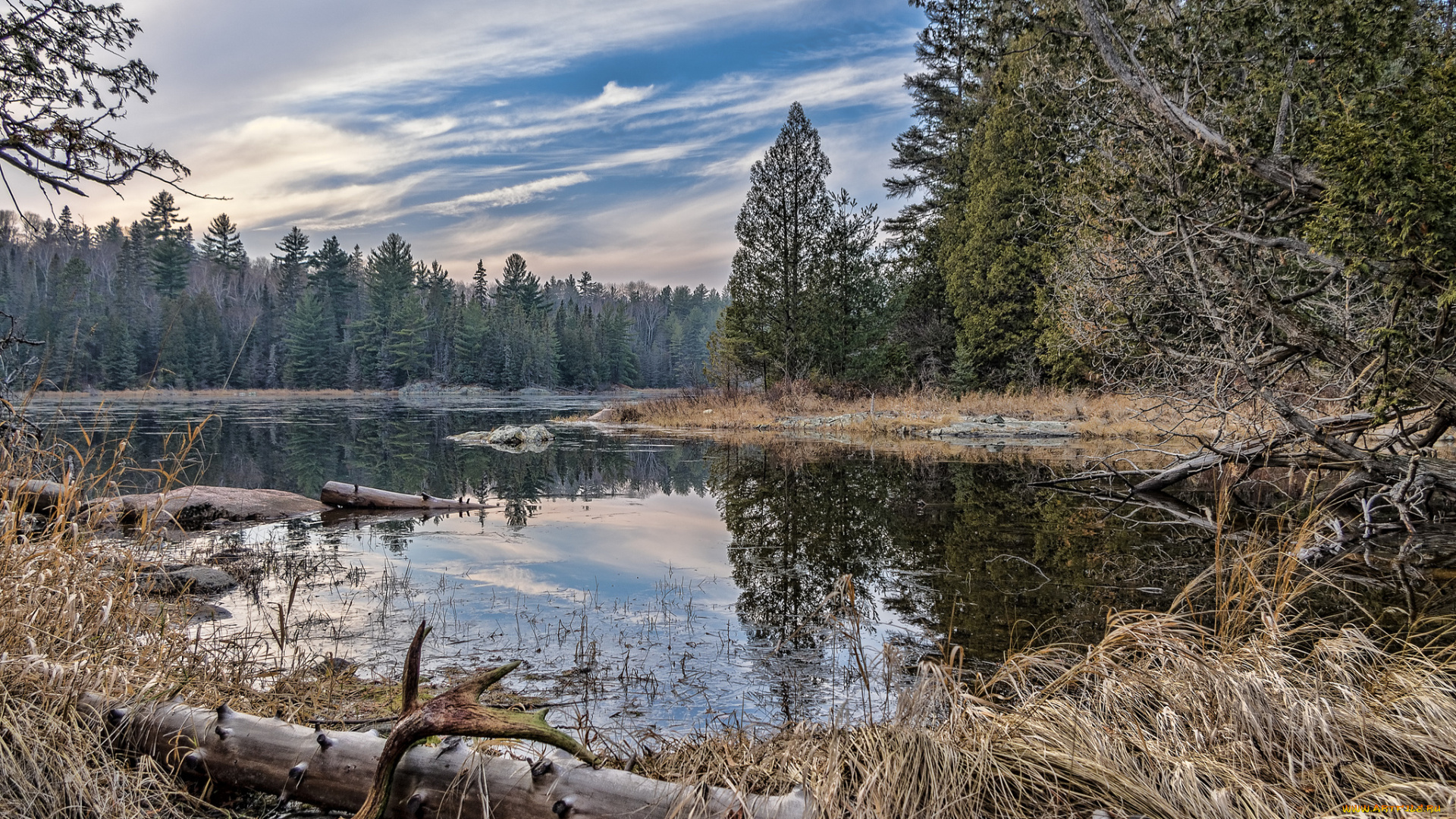 природа, реки, озера, река, лес