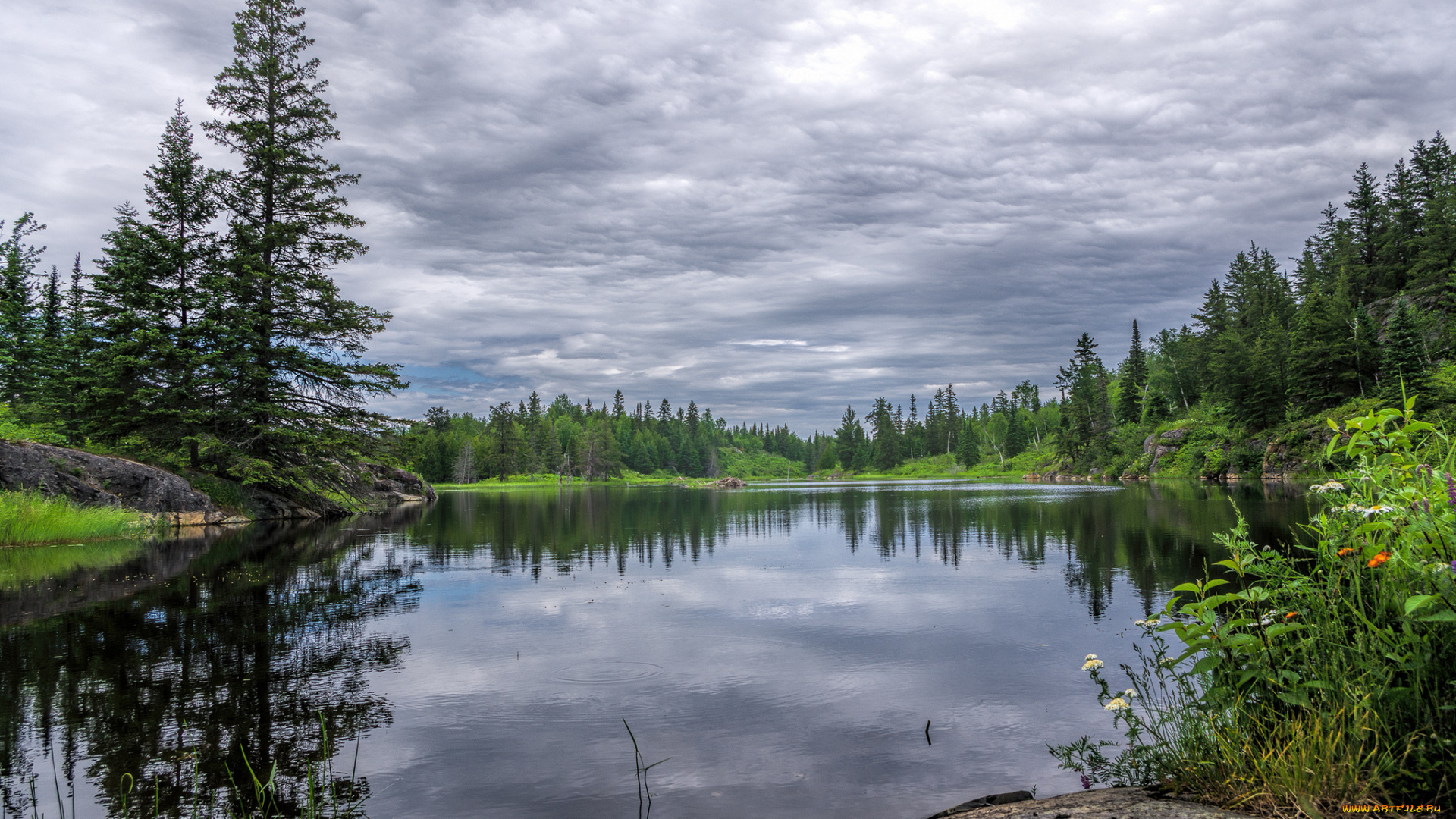 природа, реки, озера, река, лес