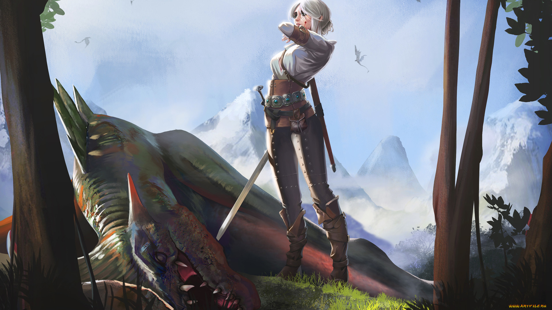 видео, игры, the, witcher, меч, the, witcher, девушка, арт, цирилла, цири