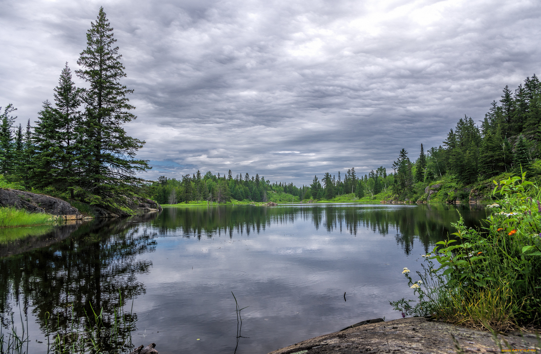 природа, реки, озера, река, лес